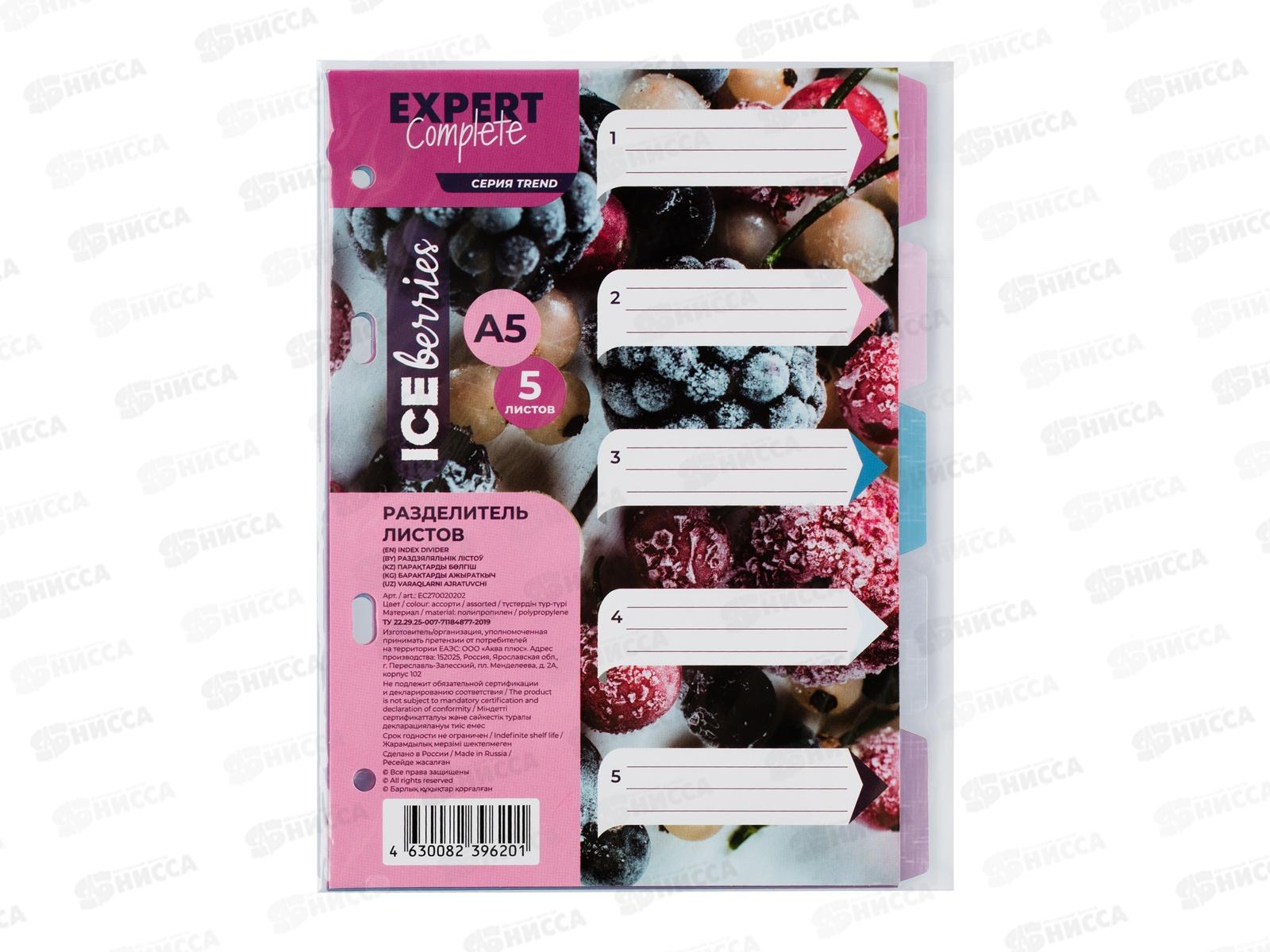 Разделитель листов Expert Complete А5 пластиковый 5шт, EC270020202