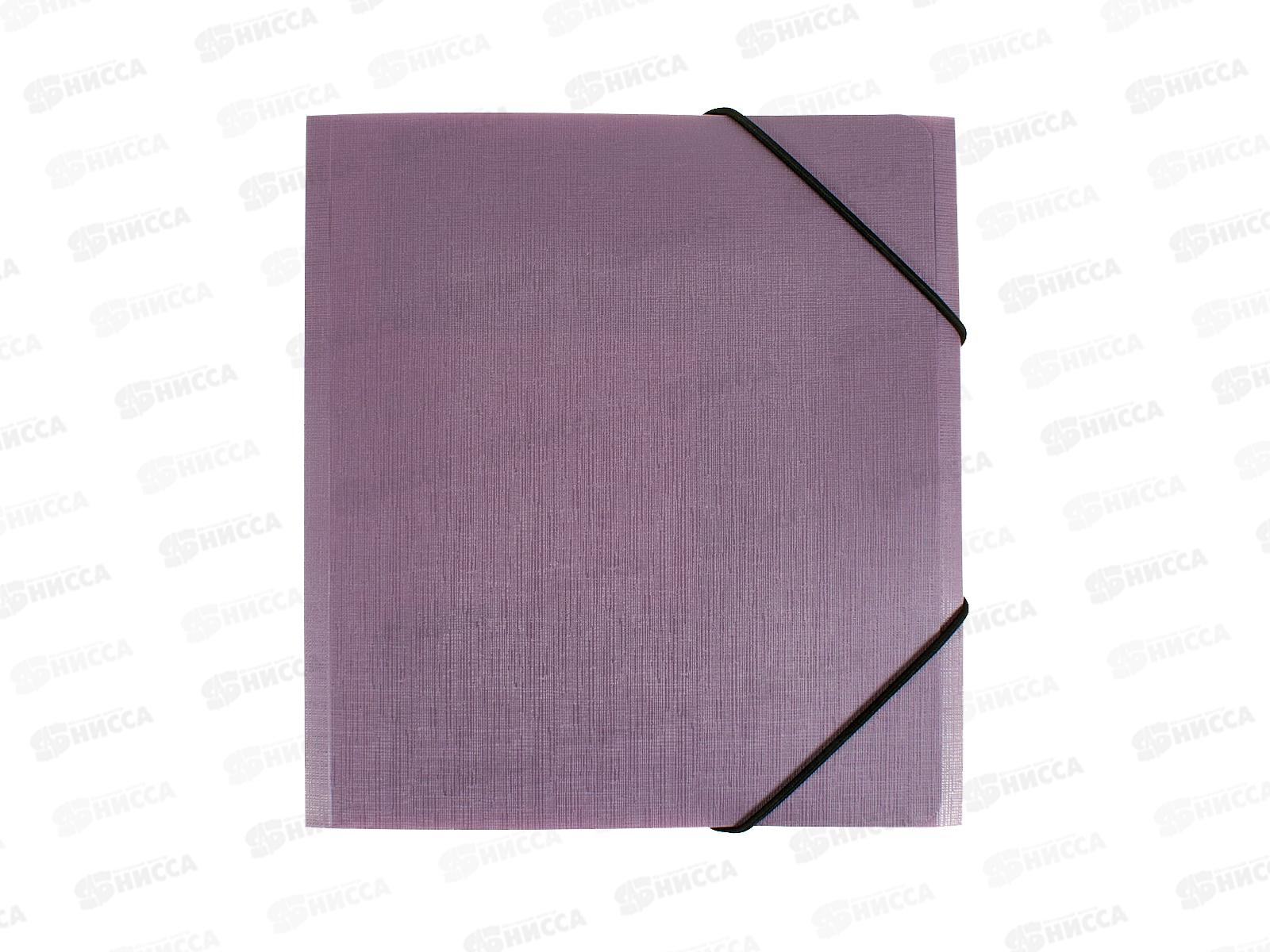 Папка на резинке EXPERT Complete, А5 Ежевика, 600мкм 25мм, ЕС210425072