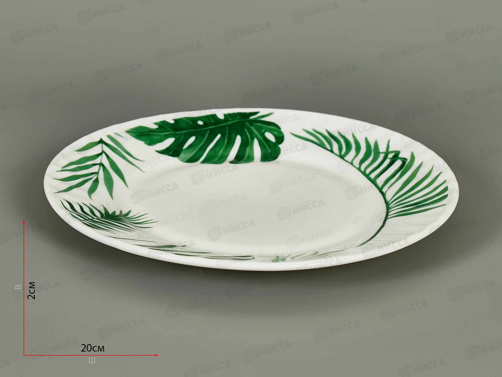 Тарелка плоская круглая 20см папоротник 20019-т8 *6/48