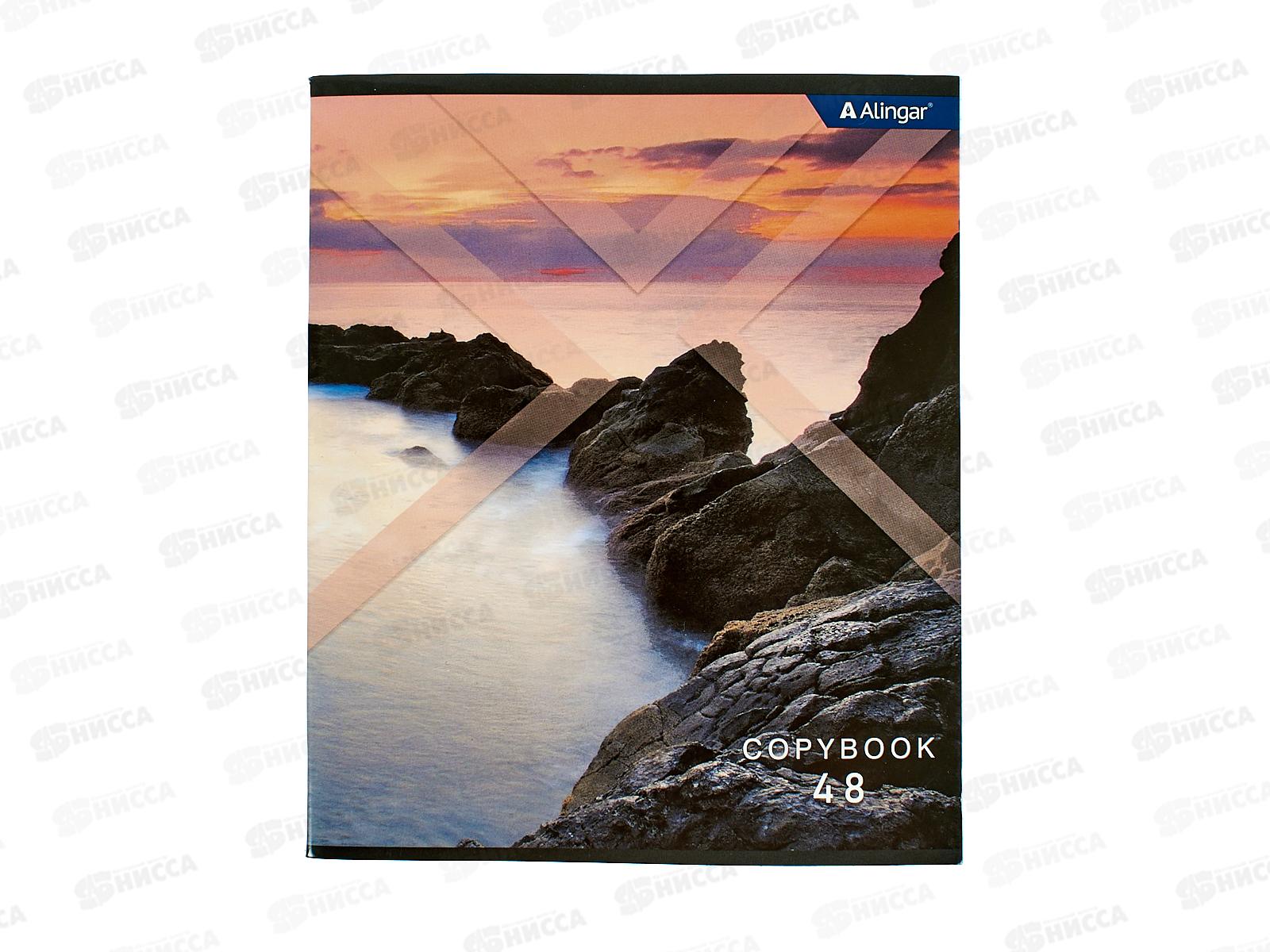 Тетрадь 48л кл. Alingar Необычный пейзаж  4 диз AL10375 *5/100