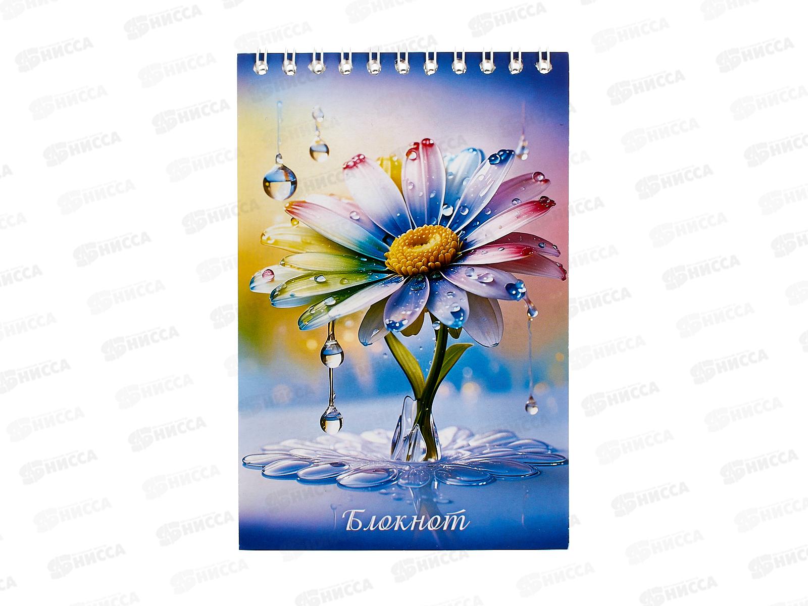 Блокнот 48л ПГС Ромашка 4, 100*150, греб. *12