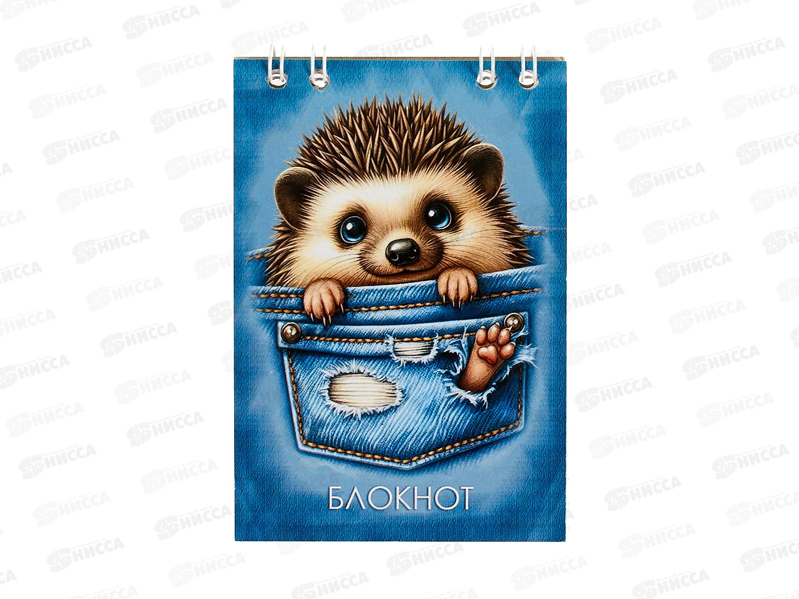 Блокнот 24л ПГС Ежик, 68*98, А7, глит., греб. *24