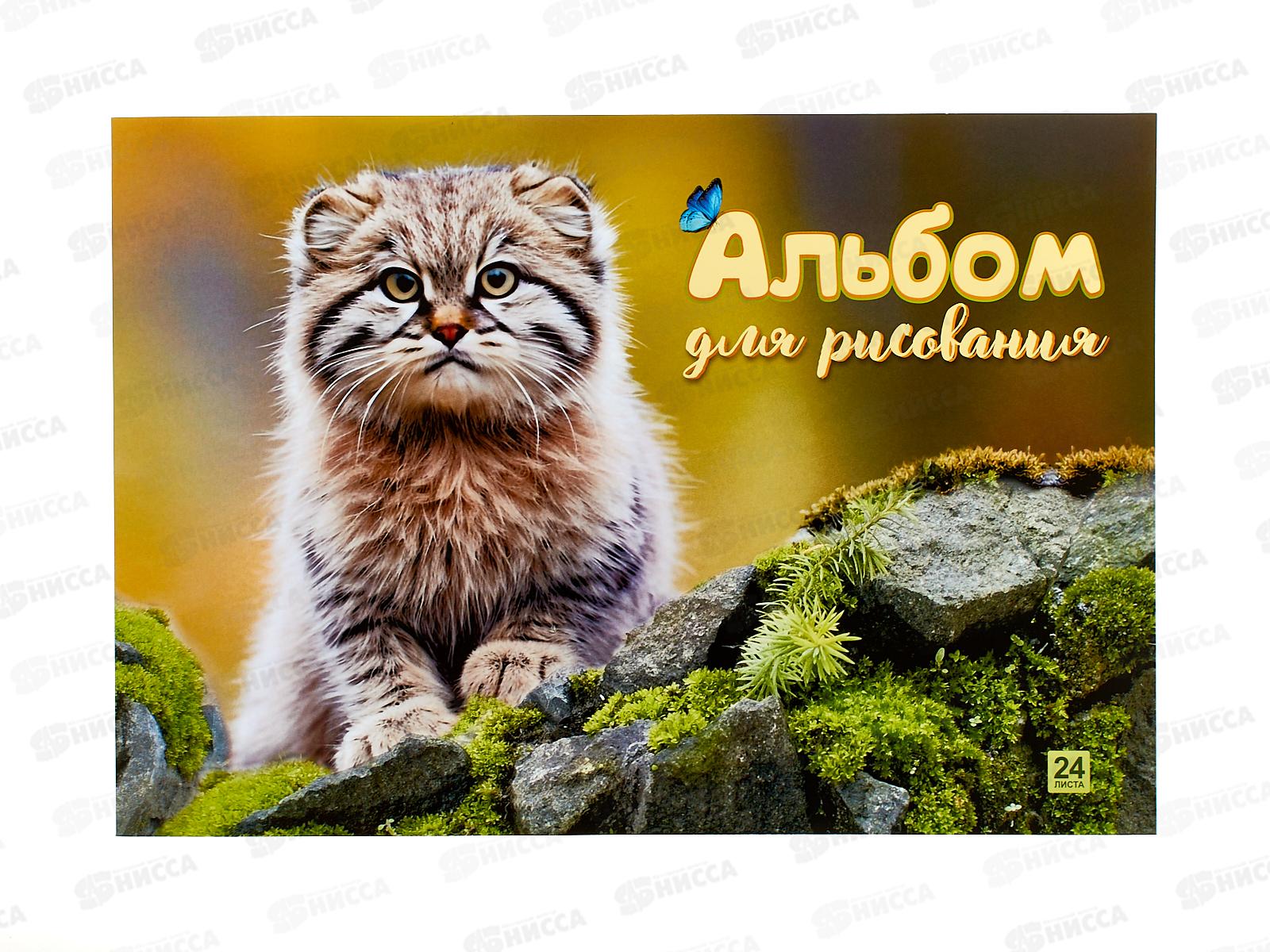 Альбом д/рис.24л Lamark Дикий кот-Манул. клей, 90920 *40