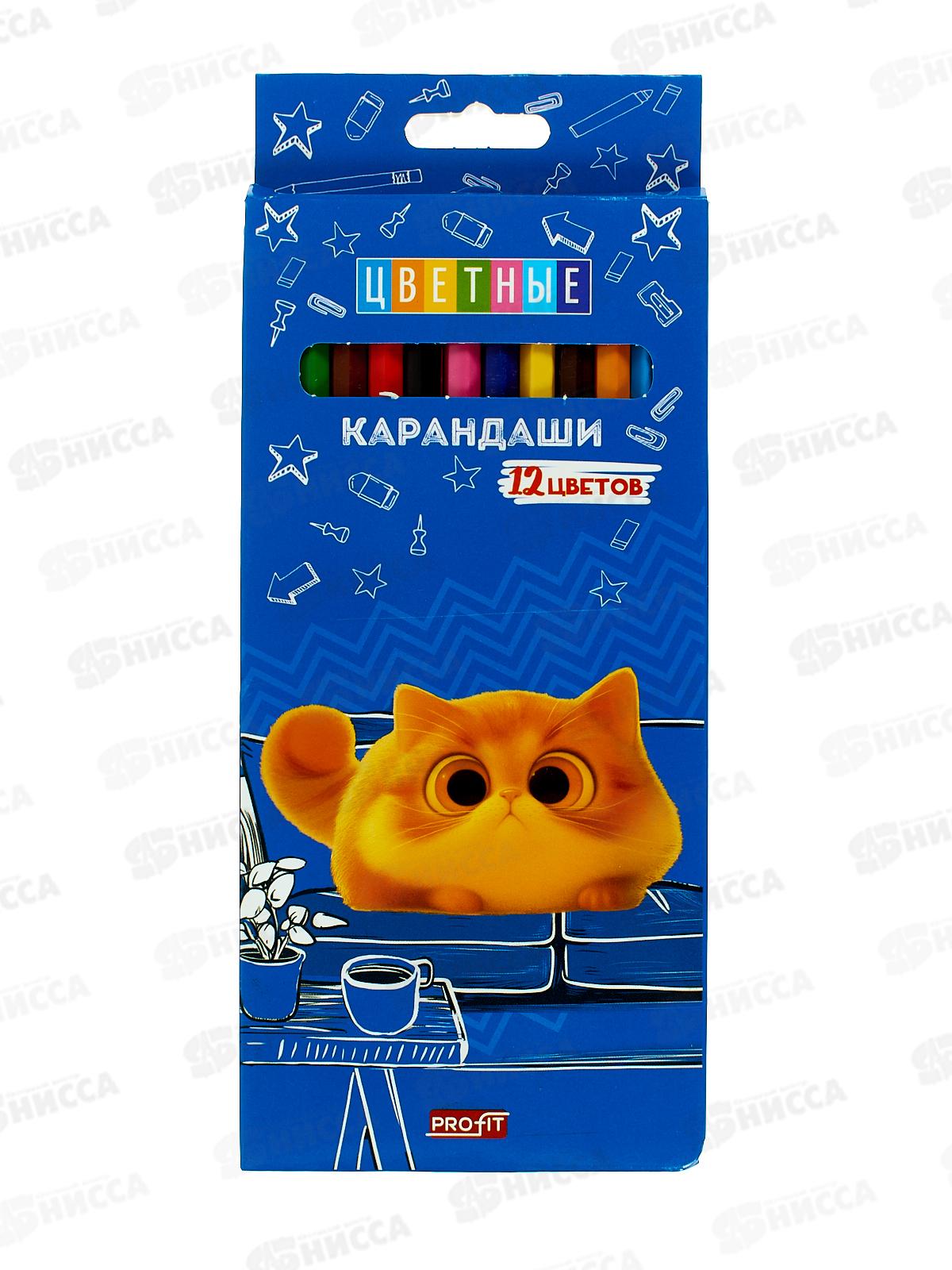 Карандаши 12цв Profit Котенок Мяу, пластик, 2М, КЦ-2621 *24/240