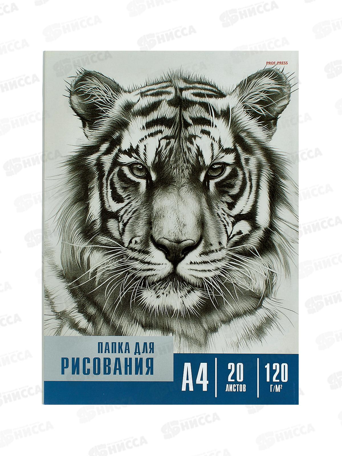 Папка для рисования А4 20л Чёрно-белые мотивы - 5, 120г/м2, 20-2255  *20