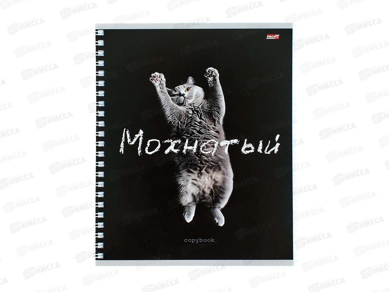 Тетрадь 48л клетка Profit Забавные коты - 2, гребень, Т48-4849 *80