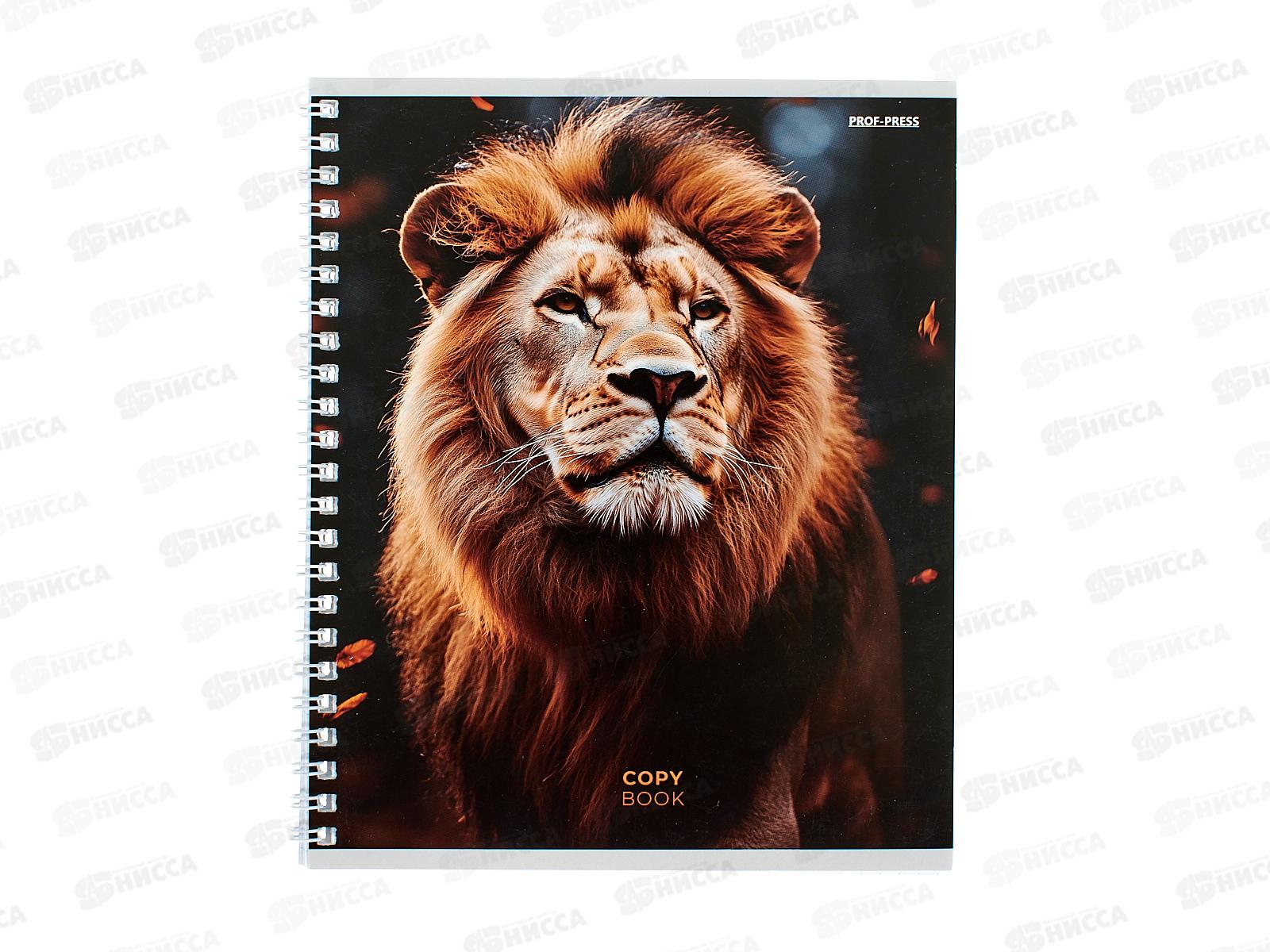 Тетрадь 48л клетка ПП Дикие кошки - 1, гребень, Т48-4879 *4/80