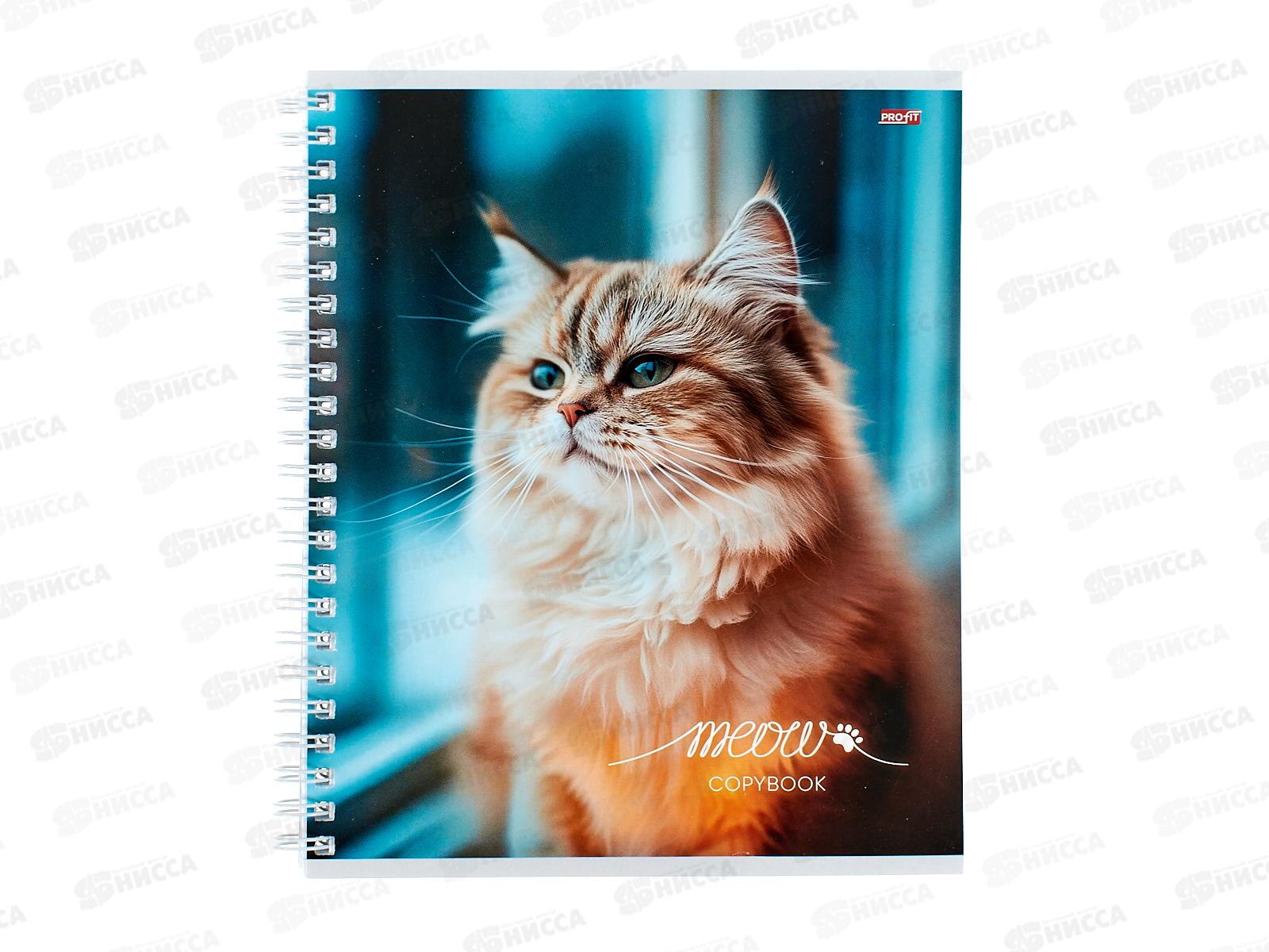 Тетрадь 96л клетка Profit Пушистые котики - 1, на гребне, Т96-4852 *6/48