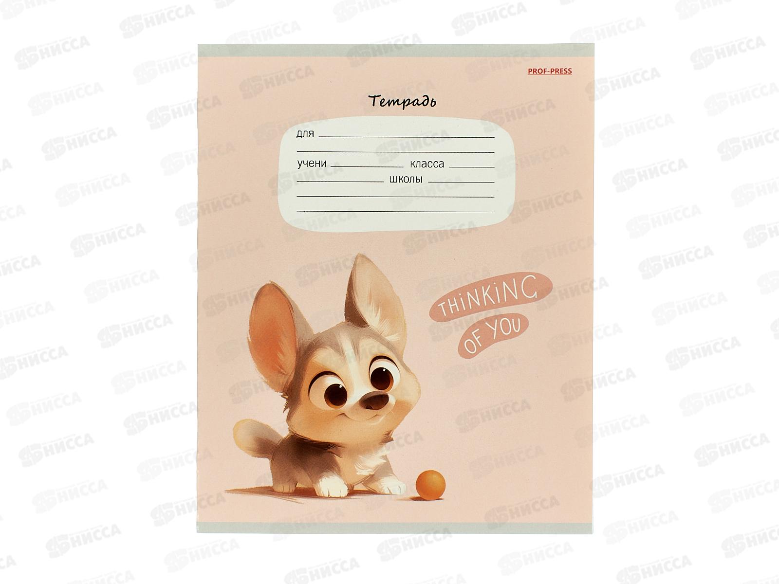 Тетрадь 12л клетка ПП Маленькие корги, 5диз., 12-4668 *20/240