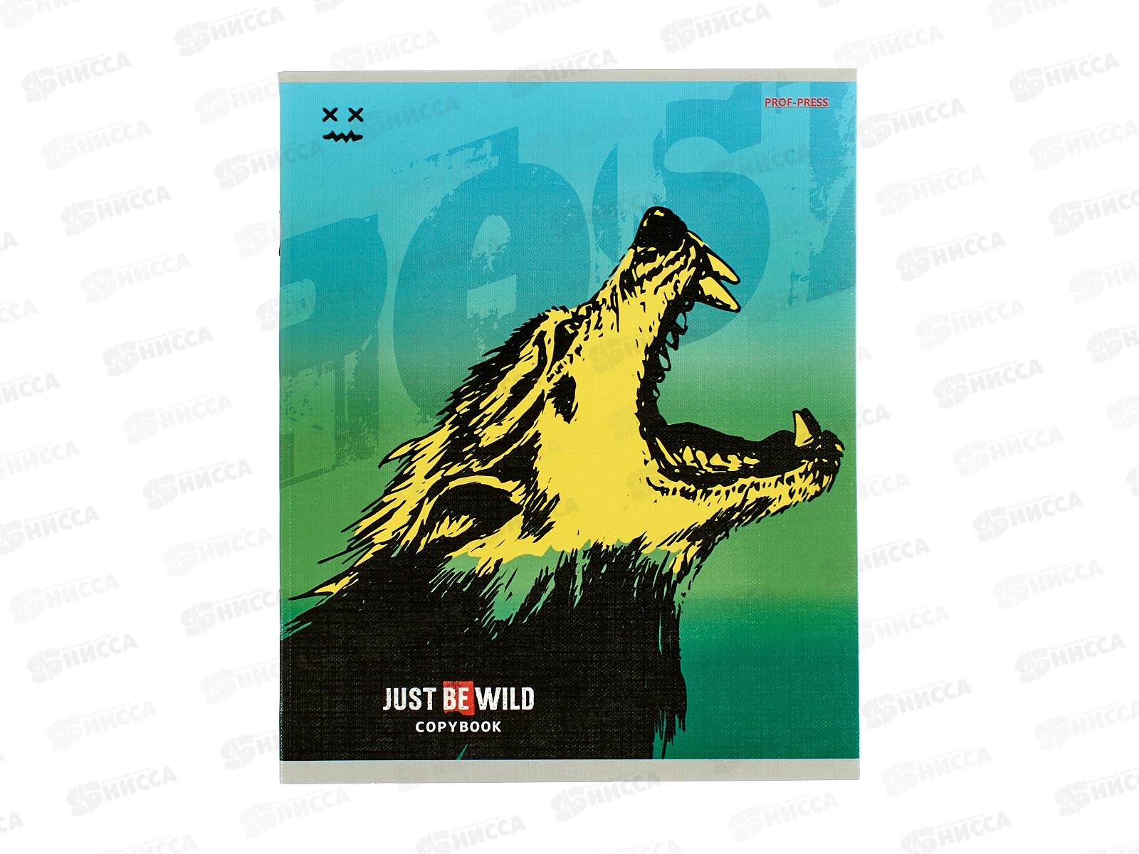 Тетрадь 48л клетка ПП Рисунки диких животных, мел., 48-2426 *10/80