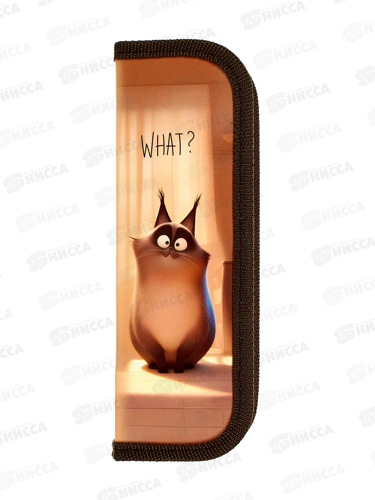 Пенал 1-секц Profit малый Озадаченный котик, 190х65, ПН-8081  *60