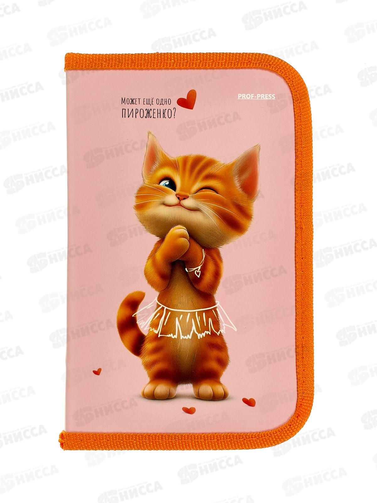 Пенал 1-секц ПП большой Кошка-балерина, 190х115, ПН-8043 *40