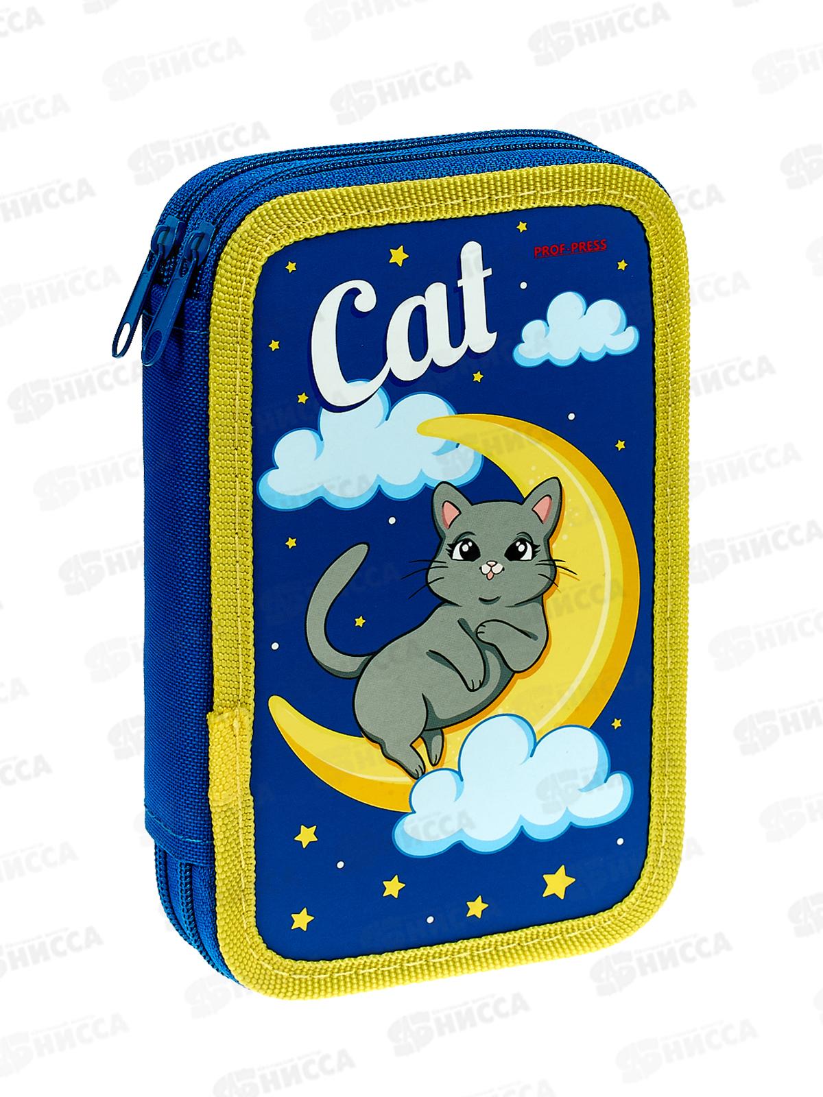 Пенал 2-секц ПП большой Кошечка на луне, 190х115, ПН-1358 *32