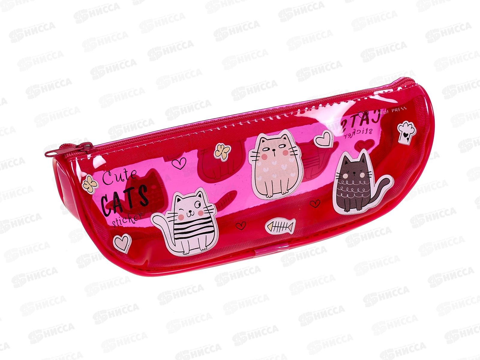Пенал-косметичка ПП Очаровательные котики, ПН-4917, 210х75х55мм силикон *30