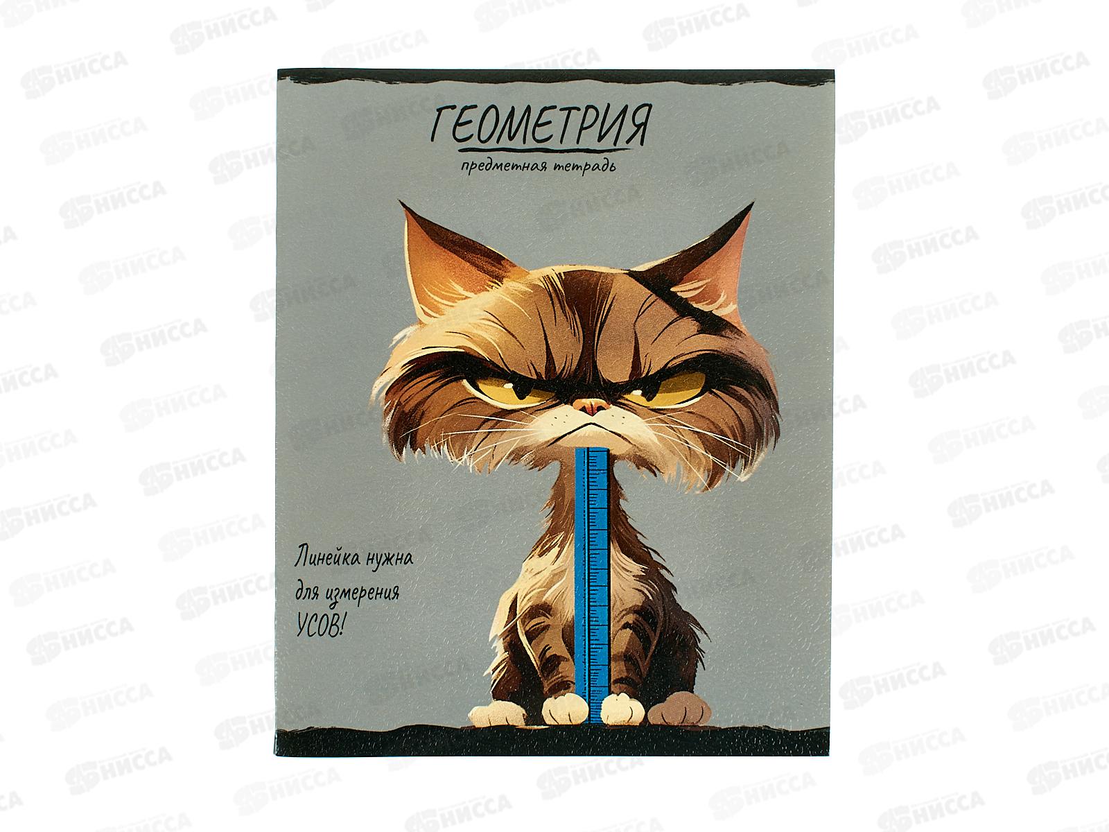 Тетрадь 48л кл. ПП &quotПРО ХВОСТ&quot Геометрия, 48-2463 стандарт *10/80