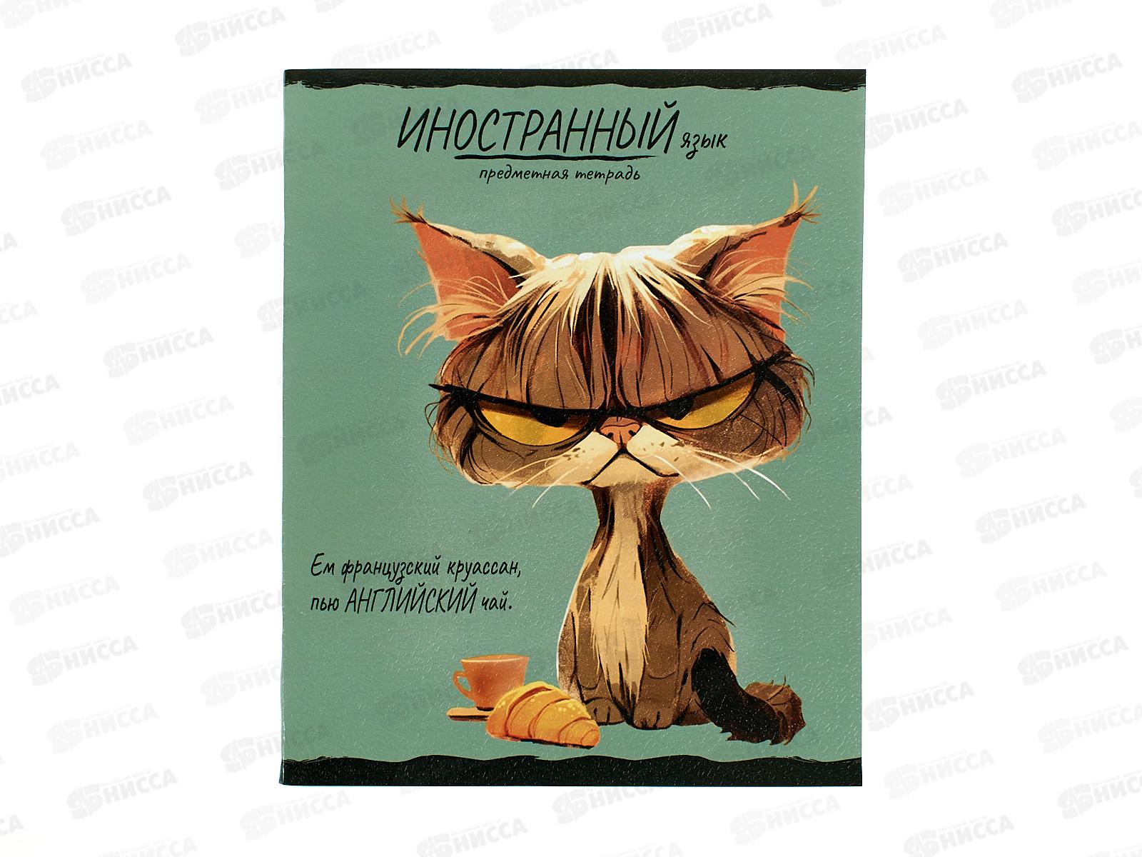 Тетрадь 48л клетка ПП "ПРО ХВОСТ" Иностранный язык, 48-2464 *10/80