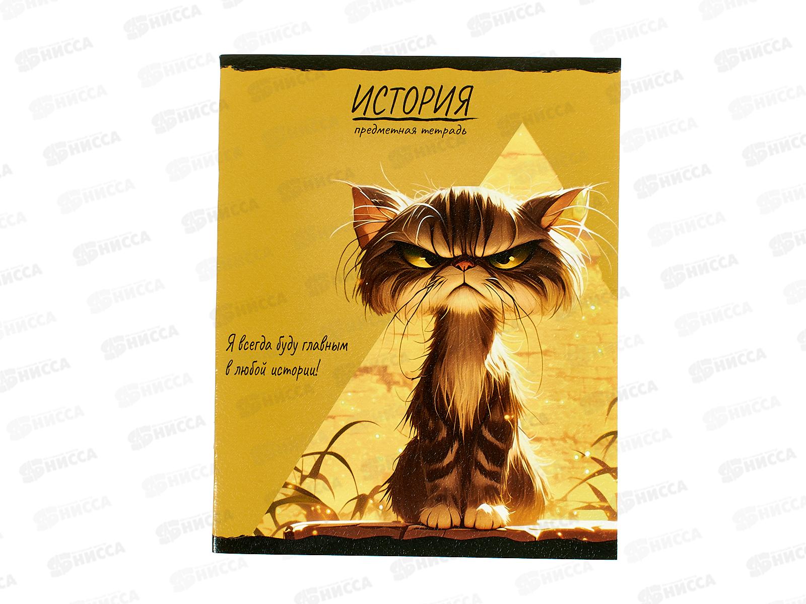 Тетрадь 48л клетка ПП &quotПРО ХВОСТ&quot История, 48-2479 стандарт *10/80