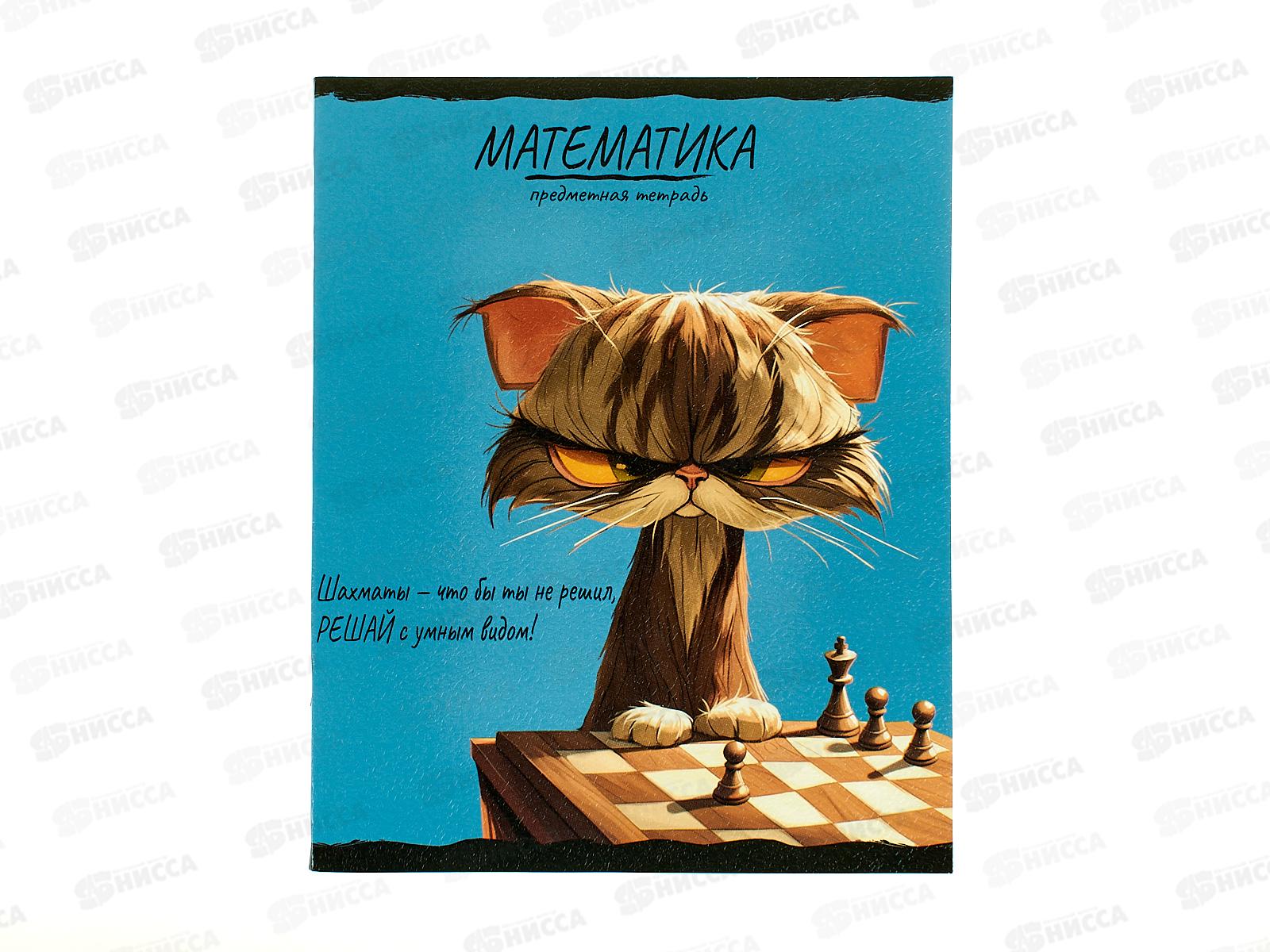 Тетрадь 48л клетка ПП "ПРО ХВОСТ" Математика, 48-2480 стандарт *10/80