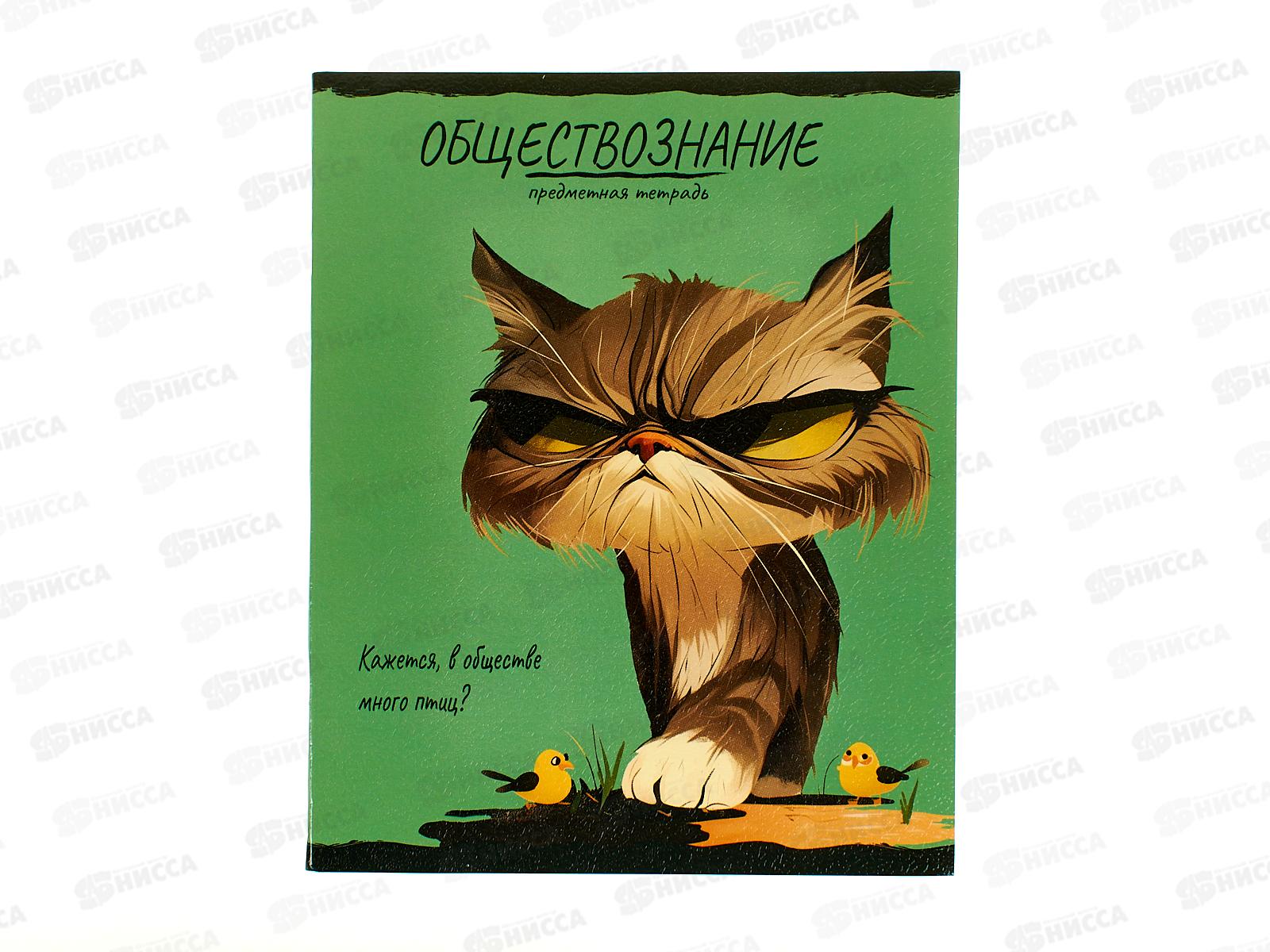 Тетрадь 48л клетка ПП "ПРО ХВОСТ" Обществознание, 48-2498 стандарт *10/80