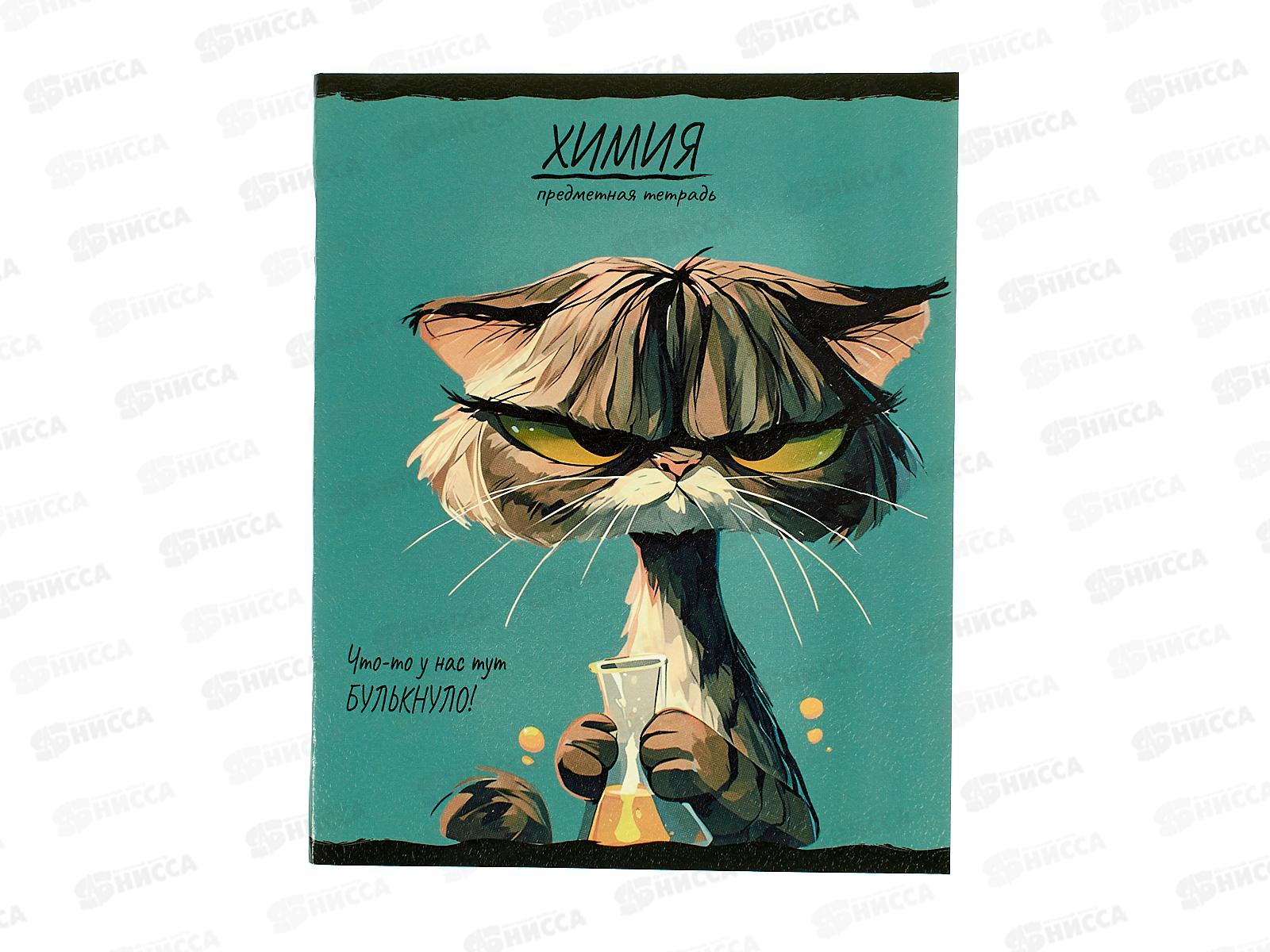 Тетрадь 48л клетка ПП &quotПРО ХВОСТ&quot Химия, 48-2500 стандарт *10/80