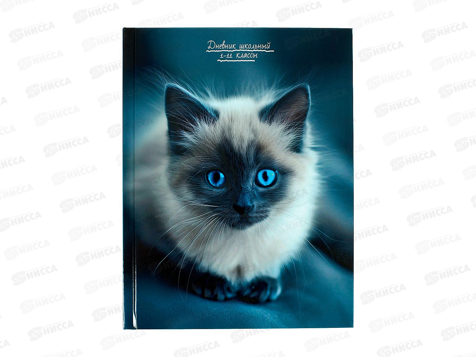 Дневник ПП Котенок с голубыми глазами, универсальный, Д40-3857