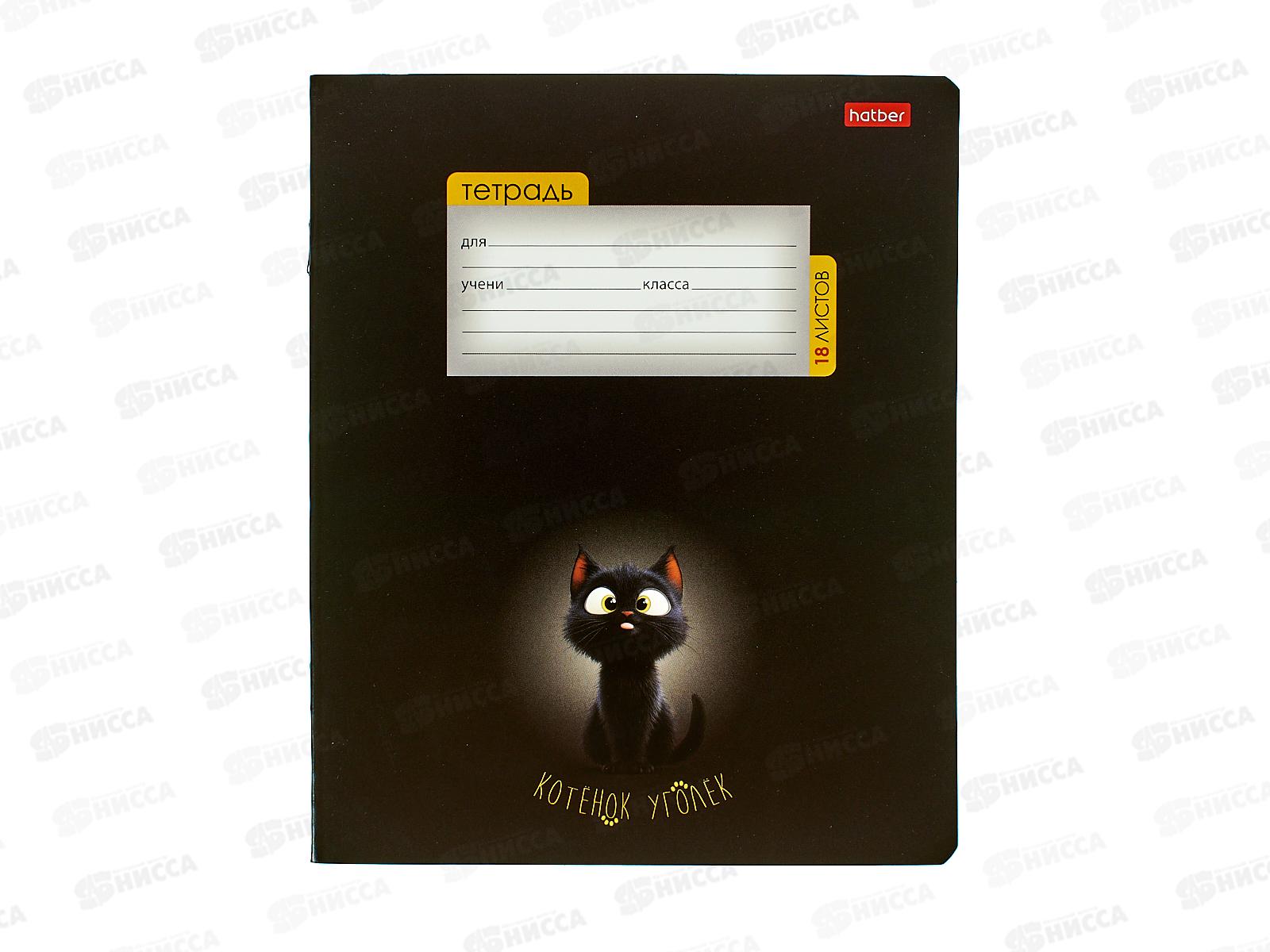 Тетрадь 18л кл. Hatber Котенок уголек 091435 *10/120