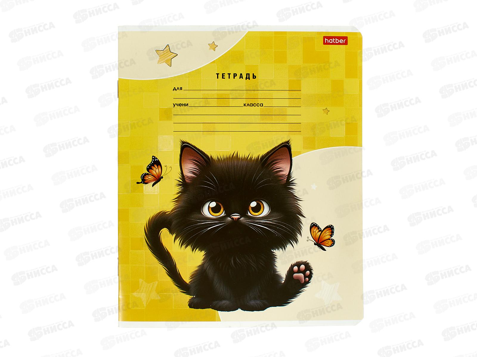 Тетрадь 18л лин. Hatber Черный котик 091440  *10/120
