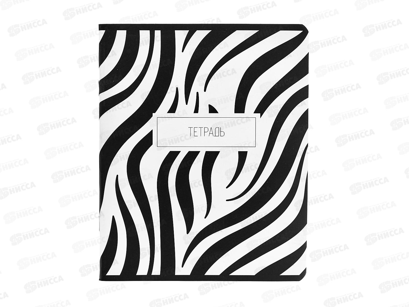 Тетрадь 48л кл. ПЗБМ Анимал принт, микс 022303 *5/50