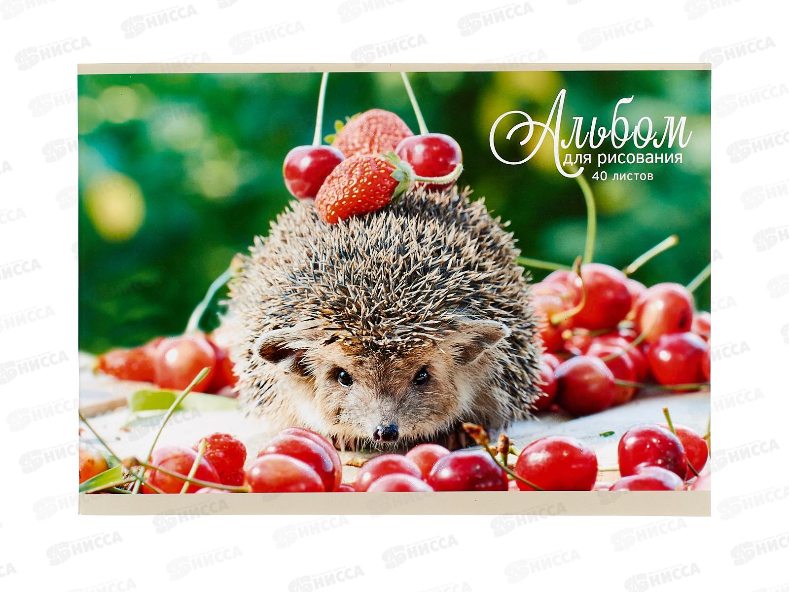 Альбом д/рис.40л ЭКСМ Блестящие и милые, блест., АБ402565 *40