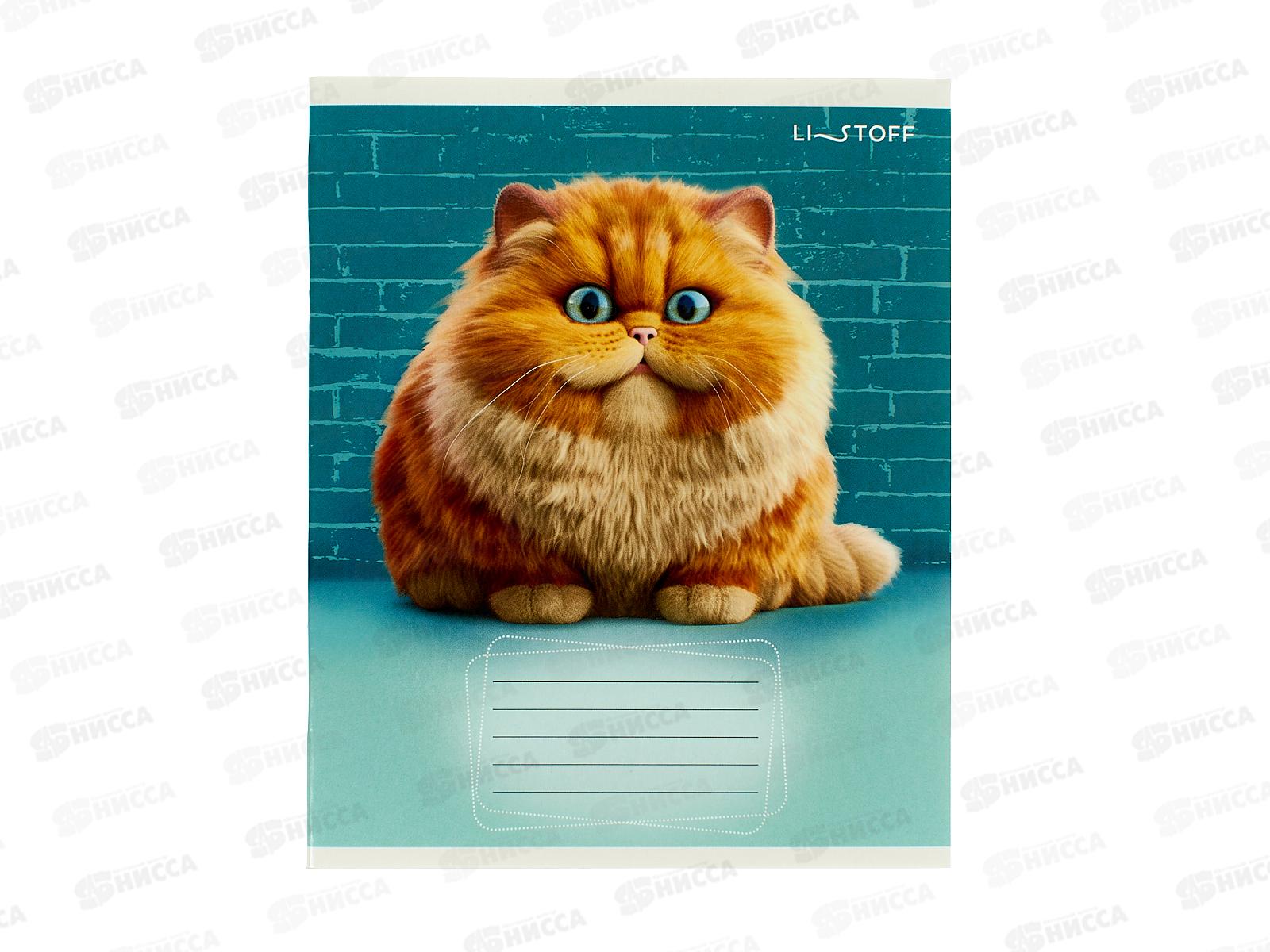 Тетрадь 24л лин. ЭКСМ Осторожно, кот!  ТЛ249263 *60