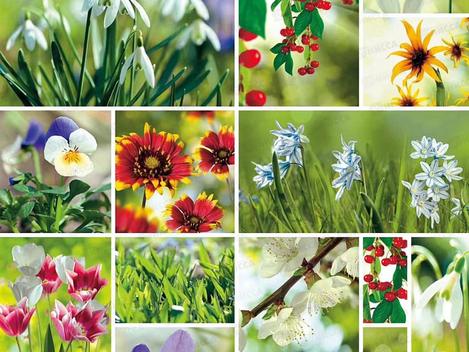 Клеенка Grace ткань с пвх 1,37х20м STG160А 117677