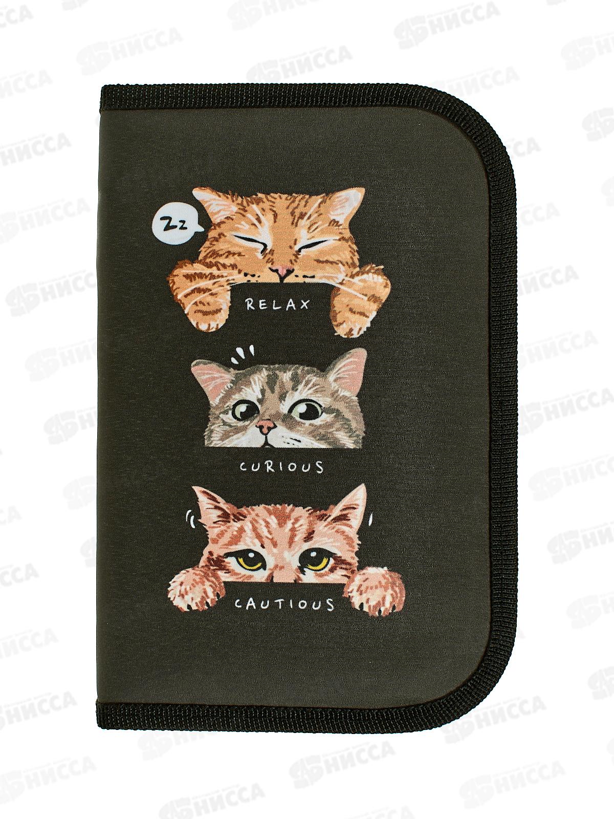 Пенал 1-секц schoolФОРМАТ Три кота 130*200*20 ПТК1-ТК *40