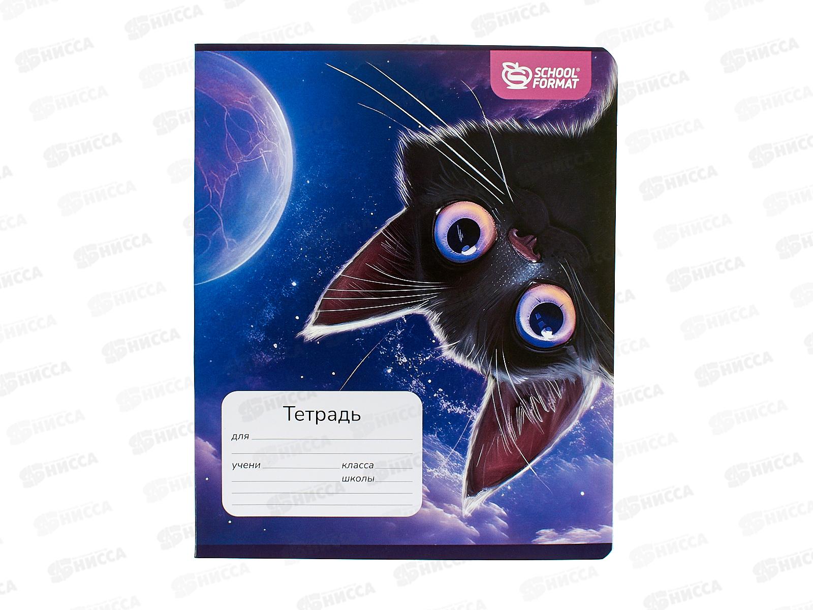 Тетрадь 18л кл. schoolФОРМАТ Игривый космокотик ТШК18-ИКК  *12/192
