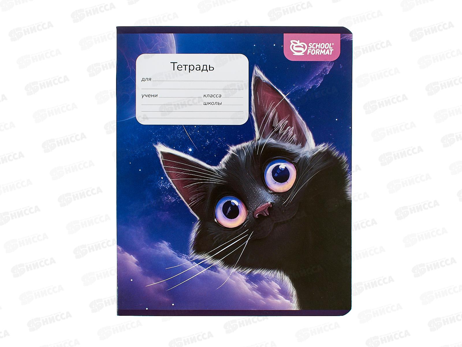 Тетрадь 18л лин. schoolФОРМАТ Игривый космокотик ТШЛ18-ИКК  *12/192