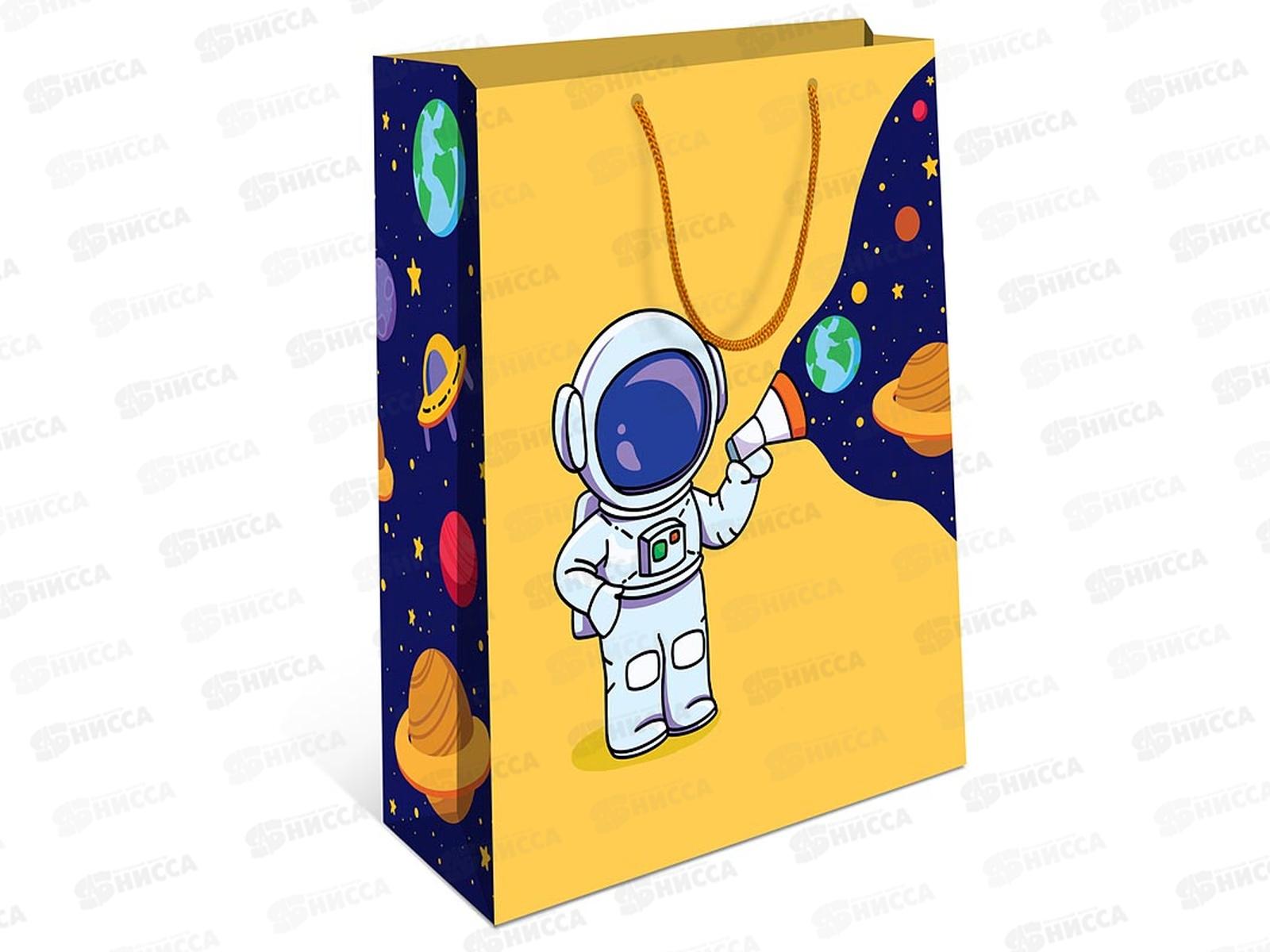 Пакет подарочный АД 18*22,3 0192.294