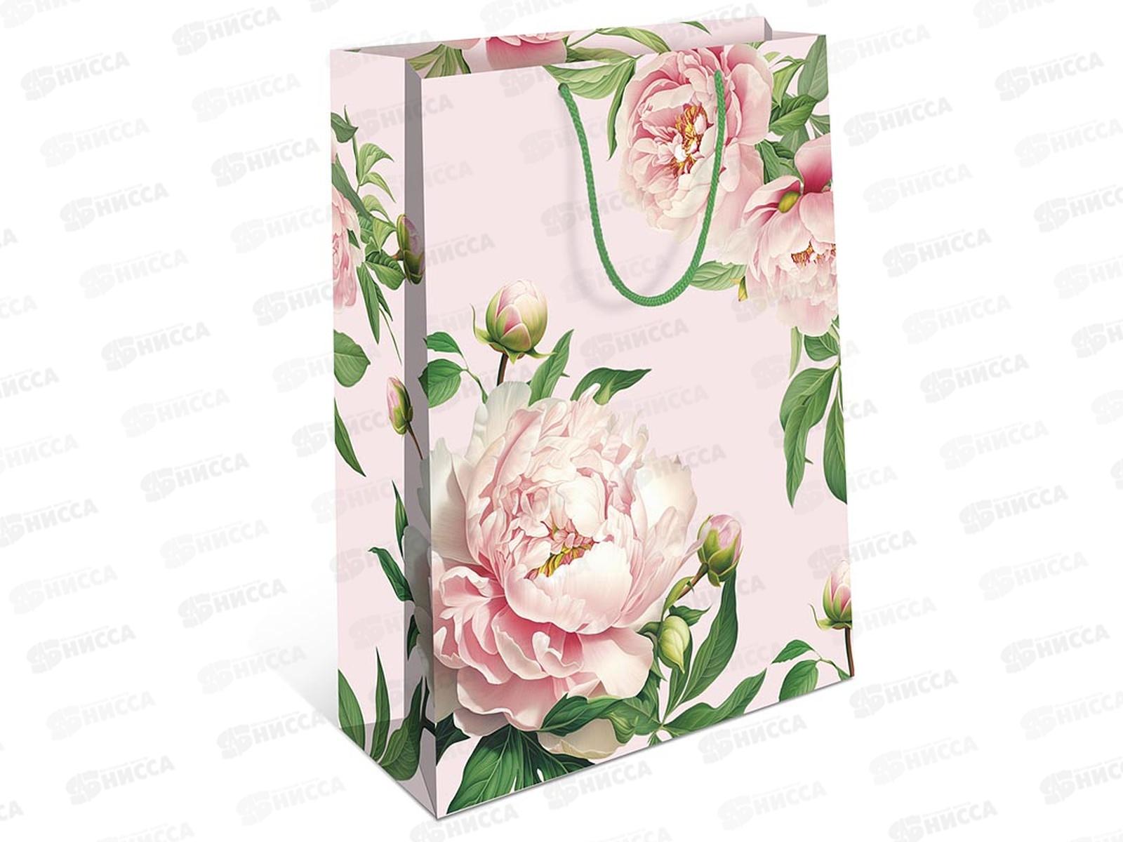 Пакет подарочный АД 18*22,3 0192.387