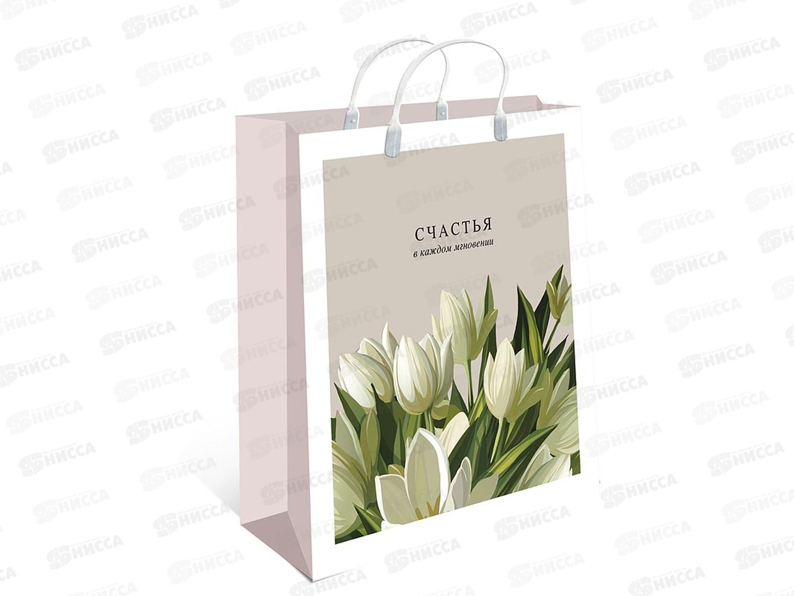 Пакет подарочный АД 260*240*90 Пластиковый 0428.407