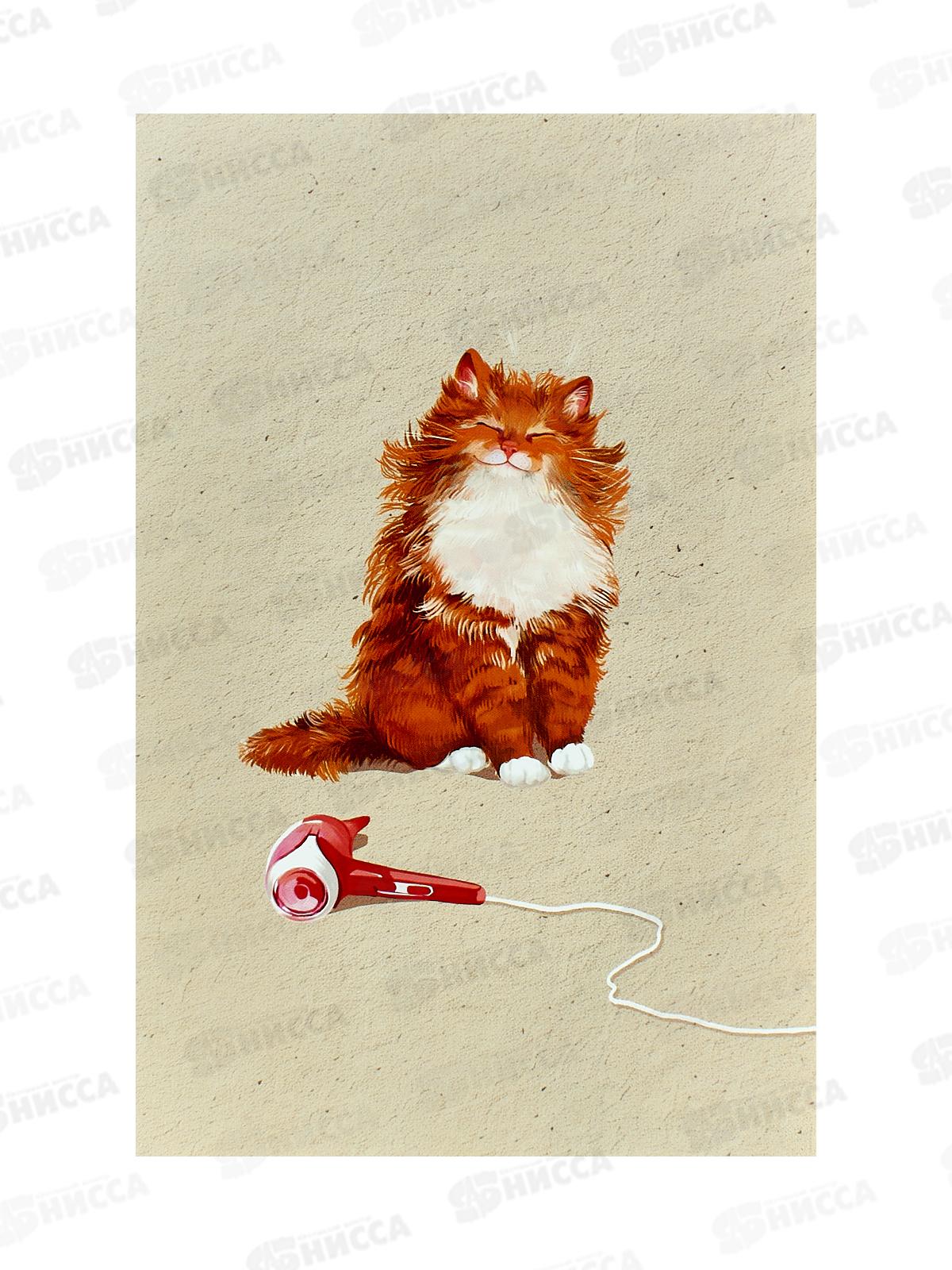 Открытка 121*183 Котик 0573.170