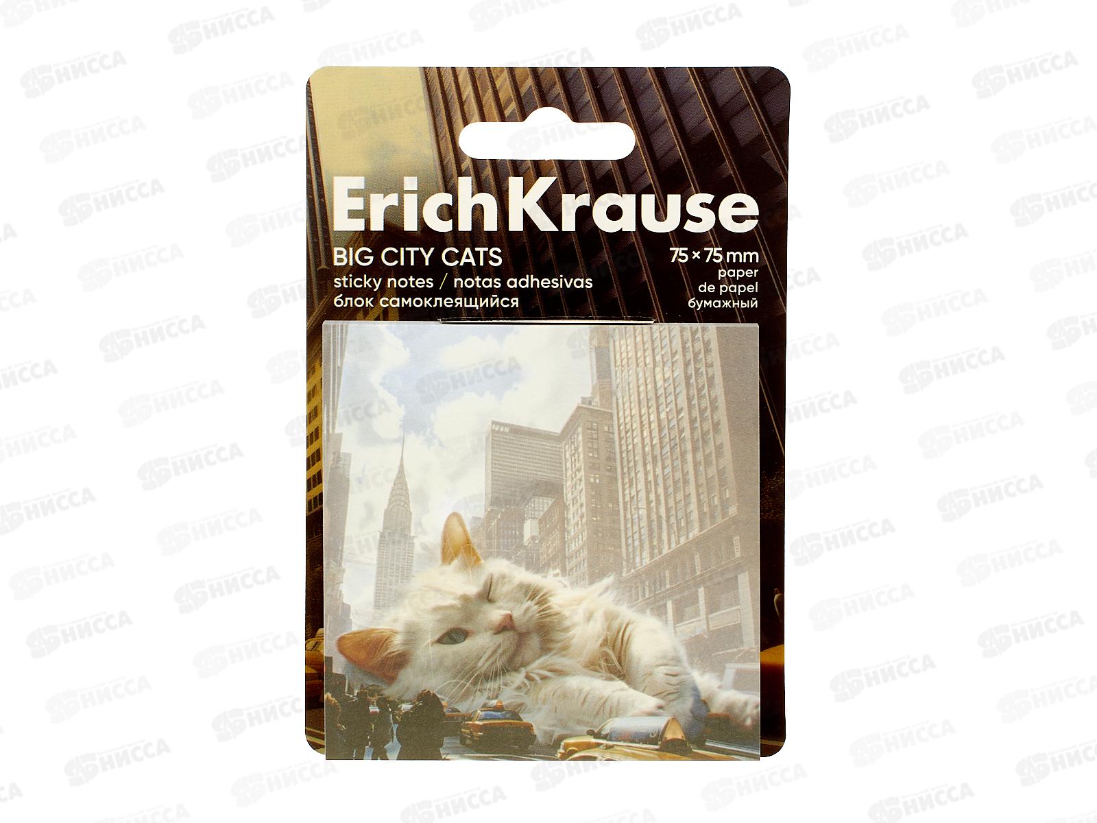 Блок липкий EK  75*75 Big City Cats, 50 ассорти 63183 *12