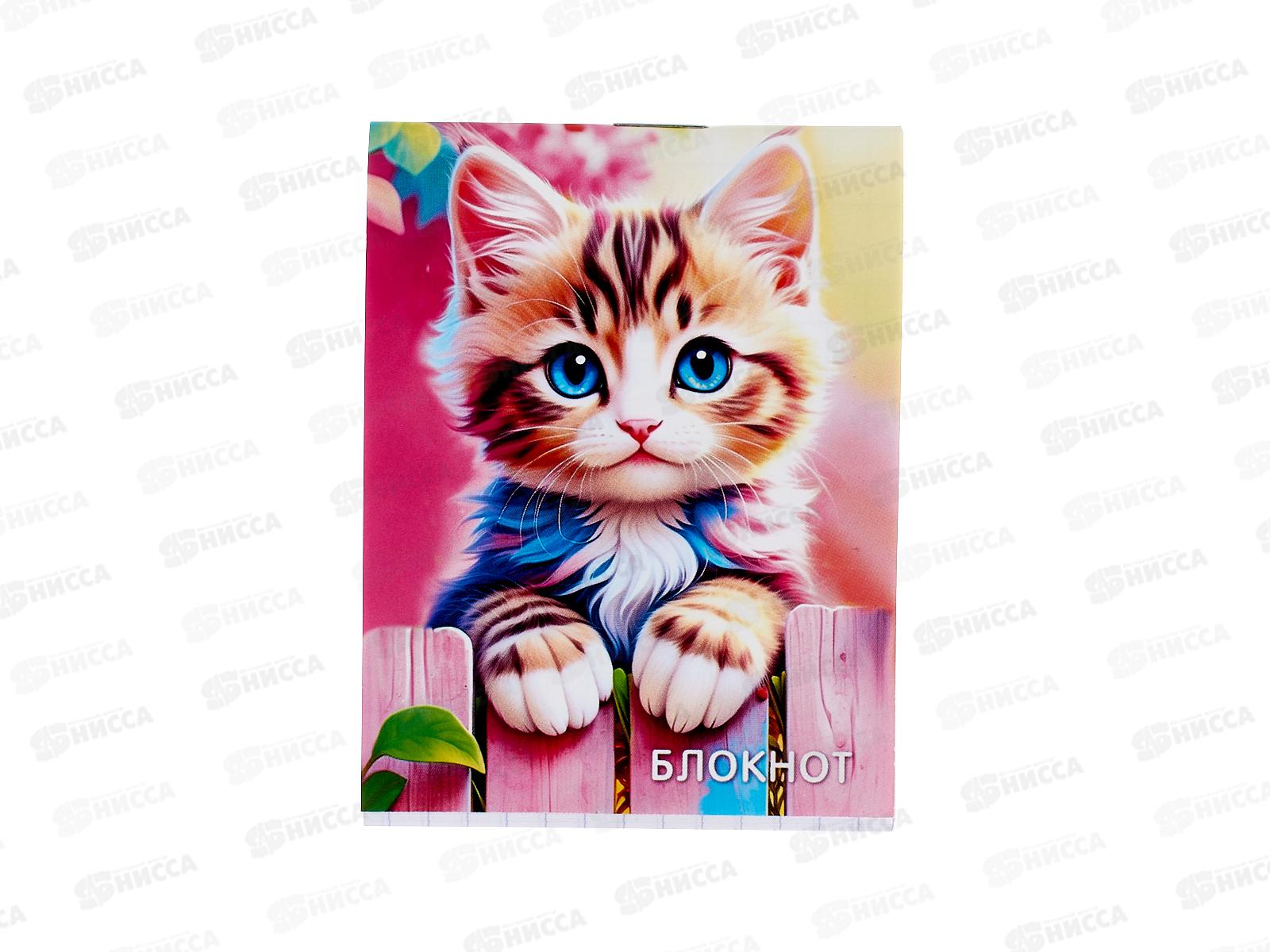 Блокнот 16л ПГС Котята 4, А7 *24