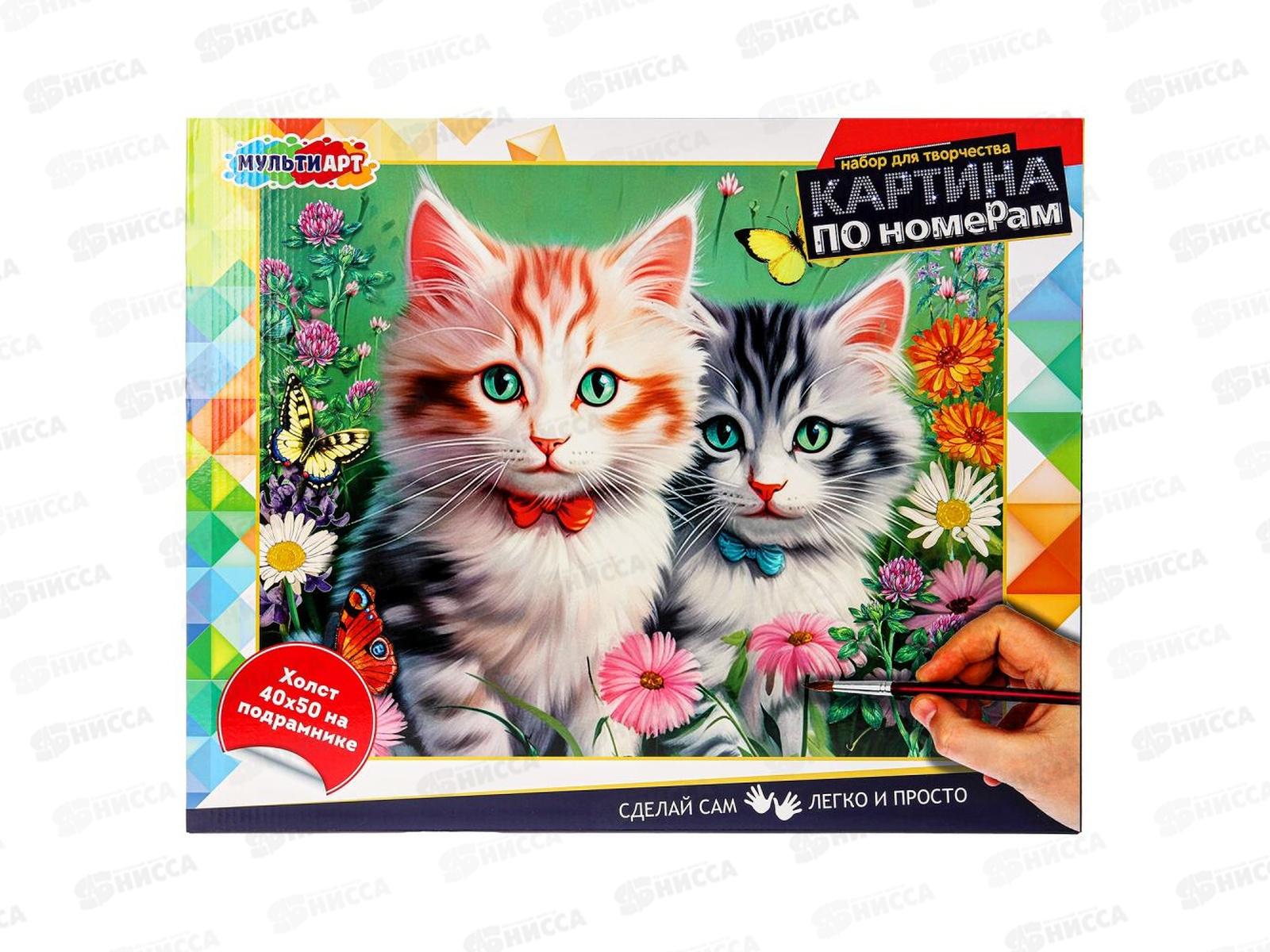 Холст по номерам 40*50см Котики, CANV40X50-115356