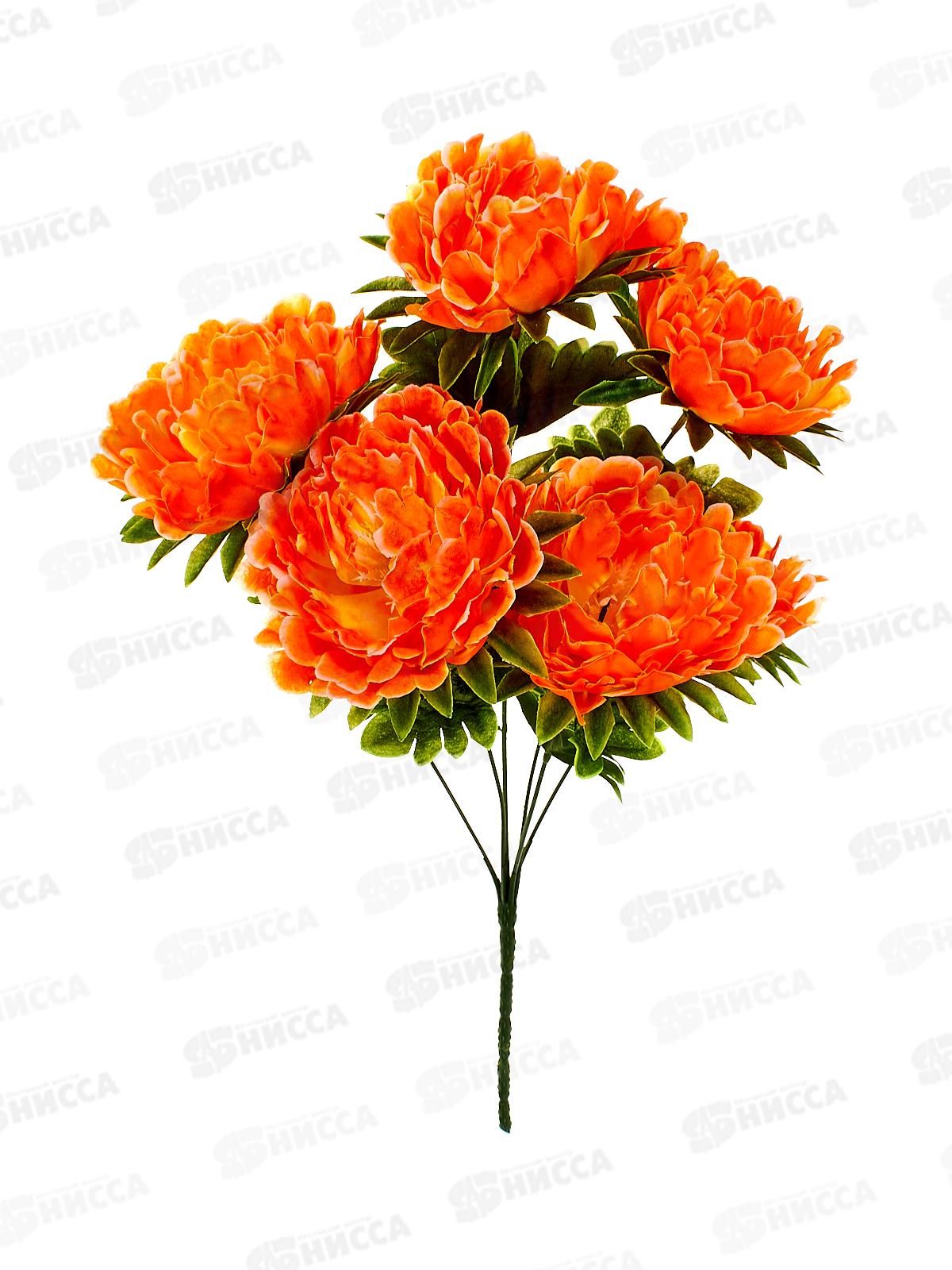 Букет астр 7голов 50см микс А-2 *2/30/150