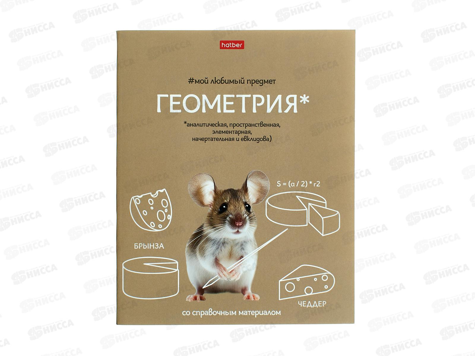 Тетрадь 48л кл. ХАТ Мой любимый предмет Геометрия 33136  *12/180