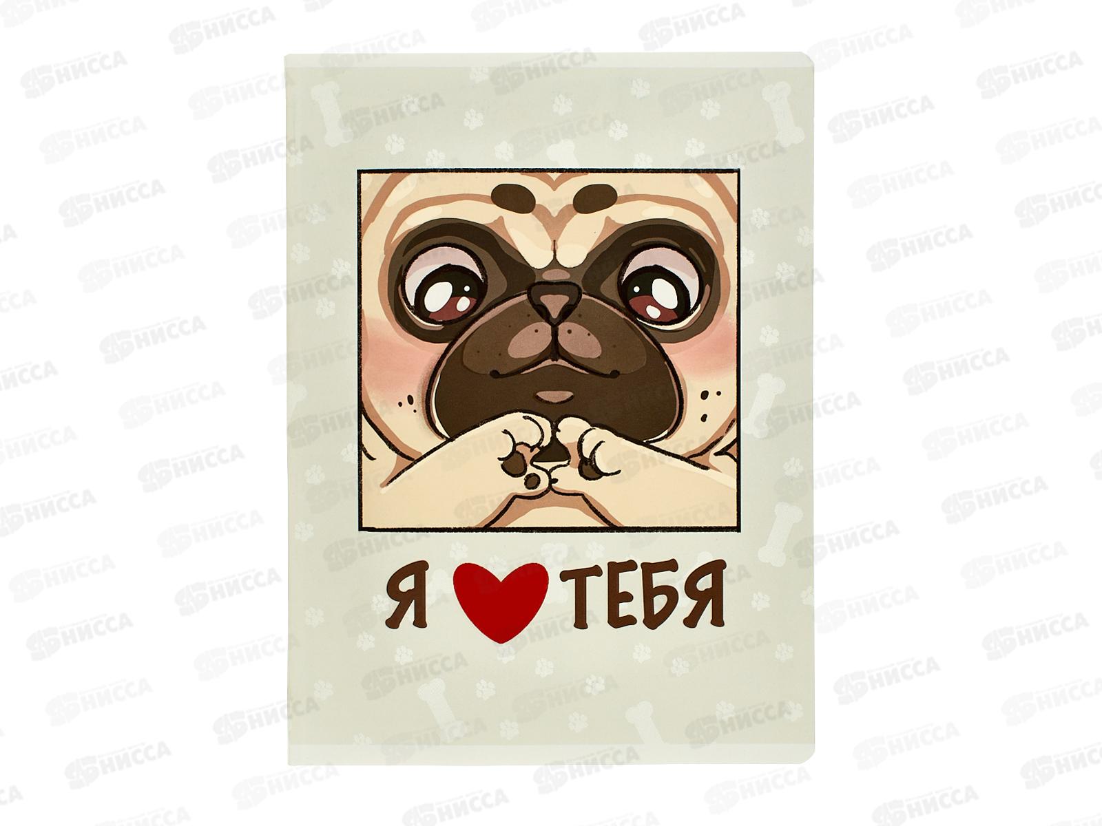 Тетрадь 60л кл. ЭКСМ А4 Люблю тебя мел. Т4605258 *40