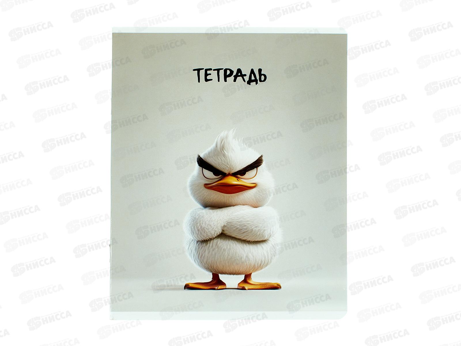 Тетрадь 48л кл. ФЕН Сердитые звери, мел, офс.,68552 *5/50