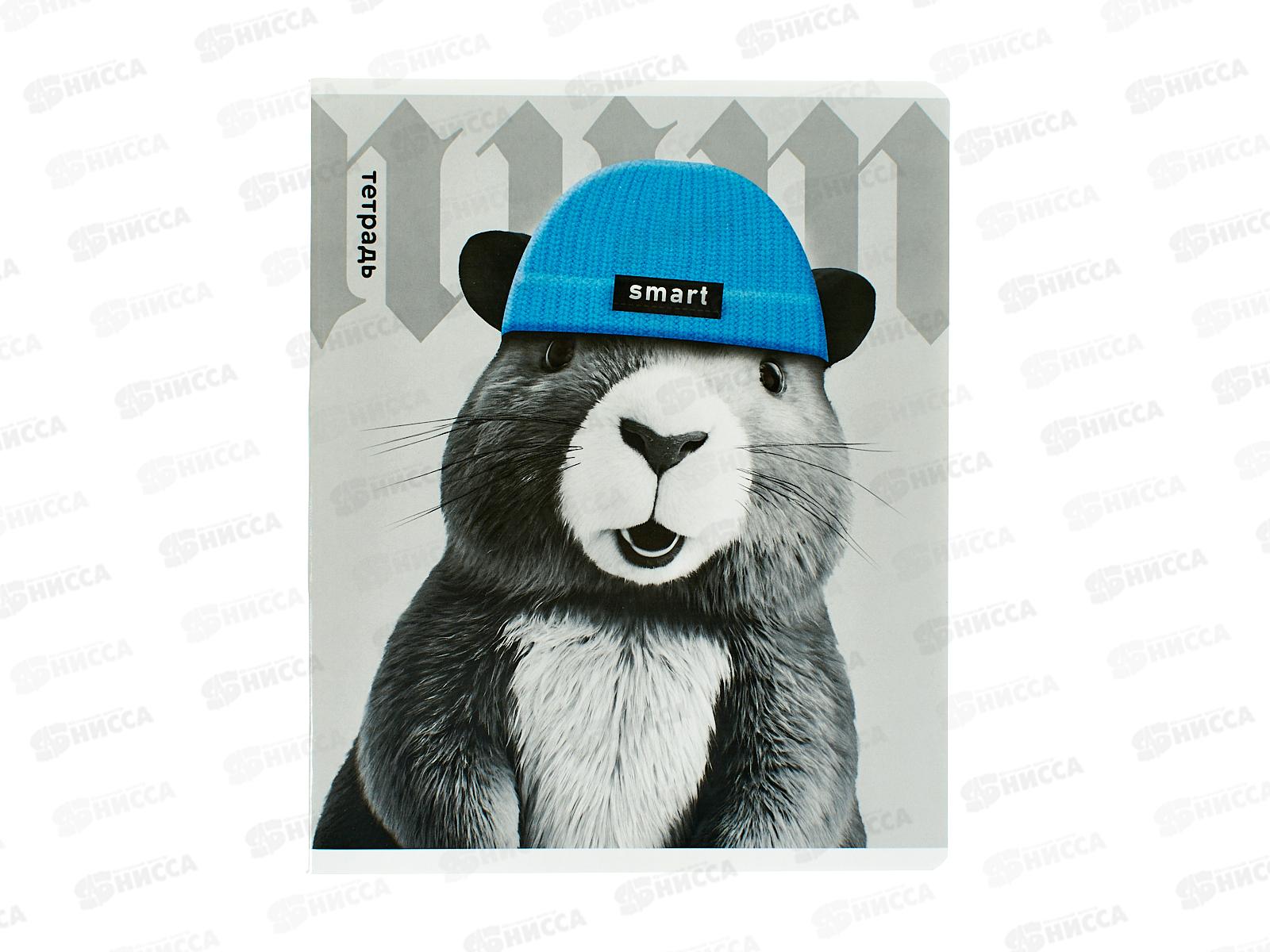 Тетрадь 48л кл. ФЕН Звери в шапочках, мел, офс. 69682  *5/50