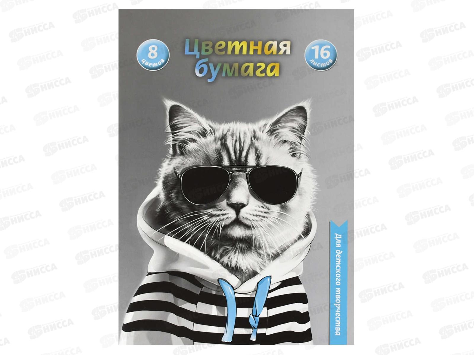 Цветная бум. 16л  8цв А4 ФЕН Кот в худи 69948  *50