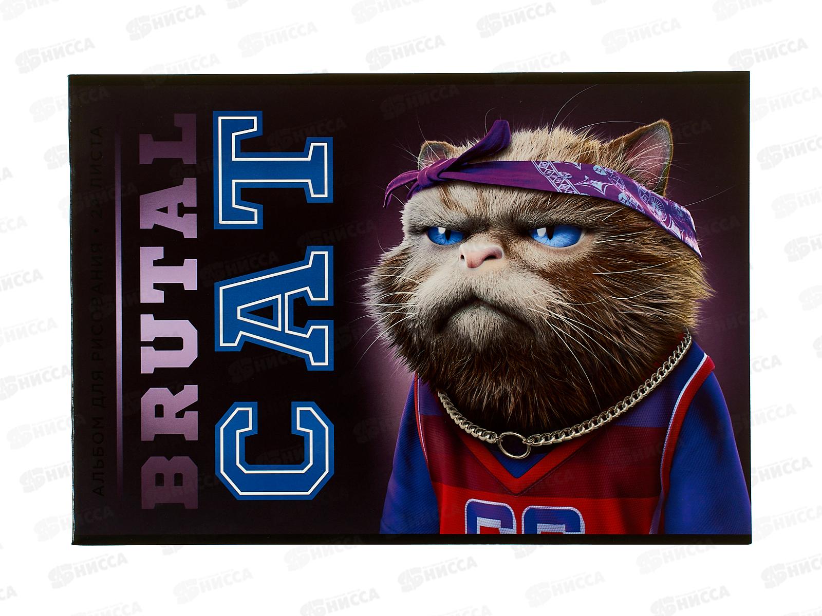 Альбом д/рис.24л ПЗБМ Брутальные коты, микс 043546 *4/48