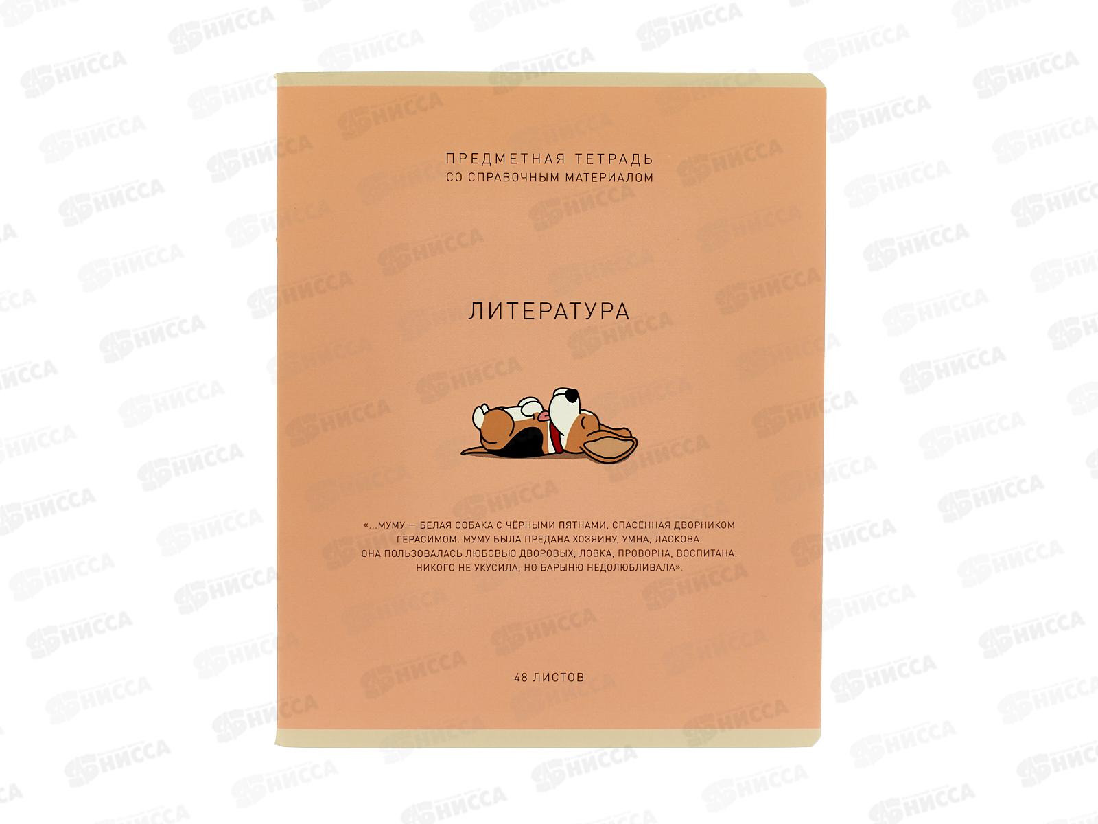 Тетрадь 48л лин. ПЗБМ Ми-ни-Ми Литература, 022464 *5/50