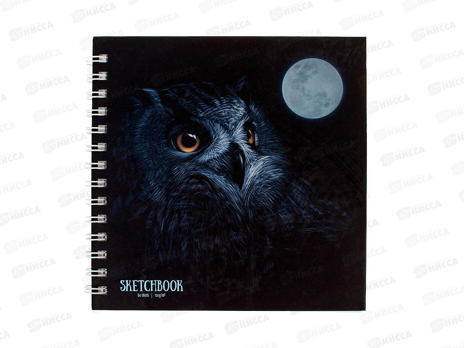 Скетчбук АКАД  60л Ночной филин 192*192 10743-ЕАС *12